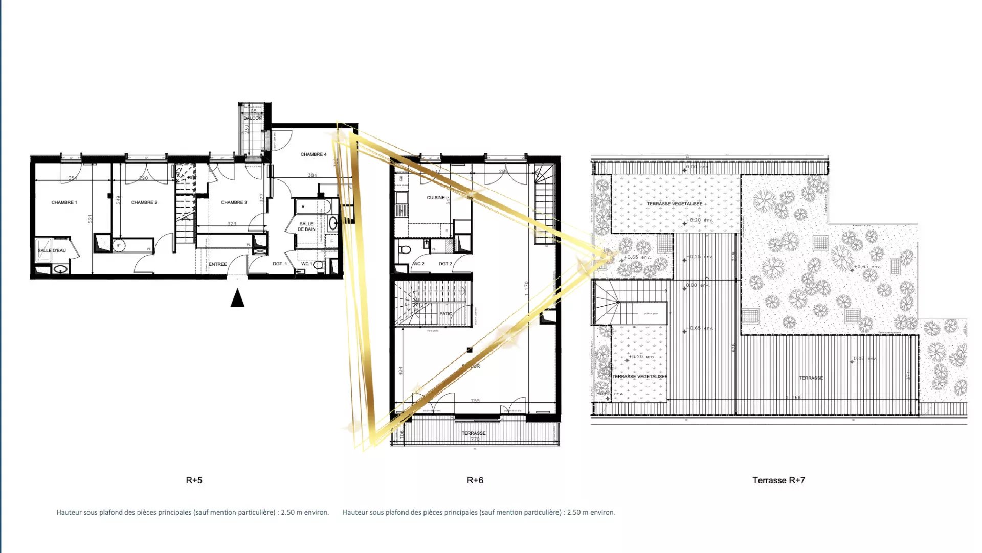 Triplex rooftop, 110m² d'extérieur !