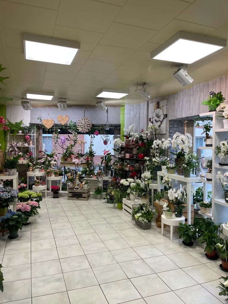 Vente Fonds de commerce Arras