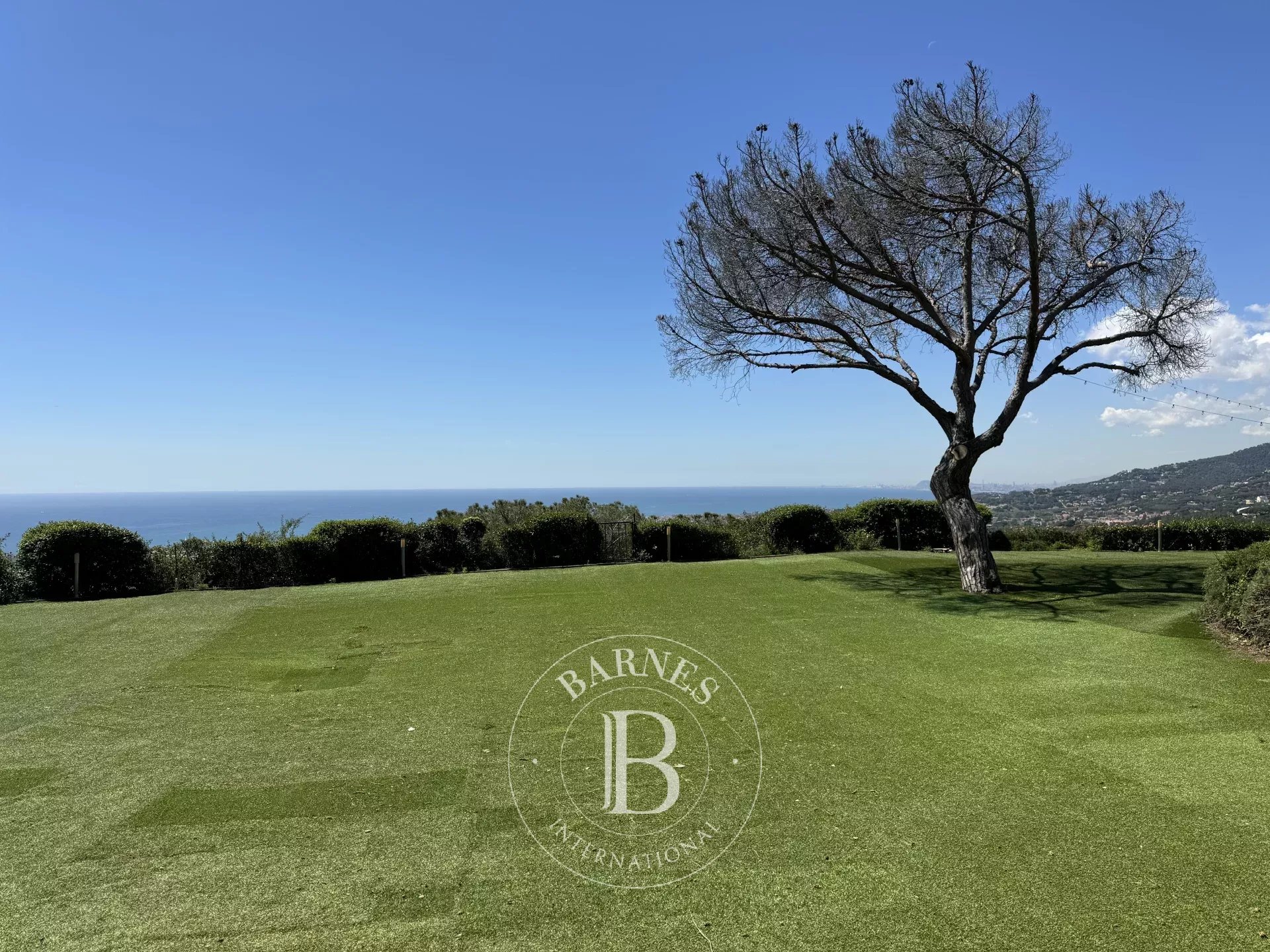 Ev Cabrils - picture 21