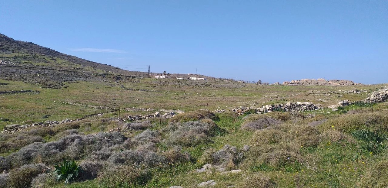 Image de la propriété 15