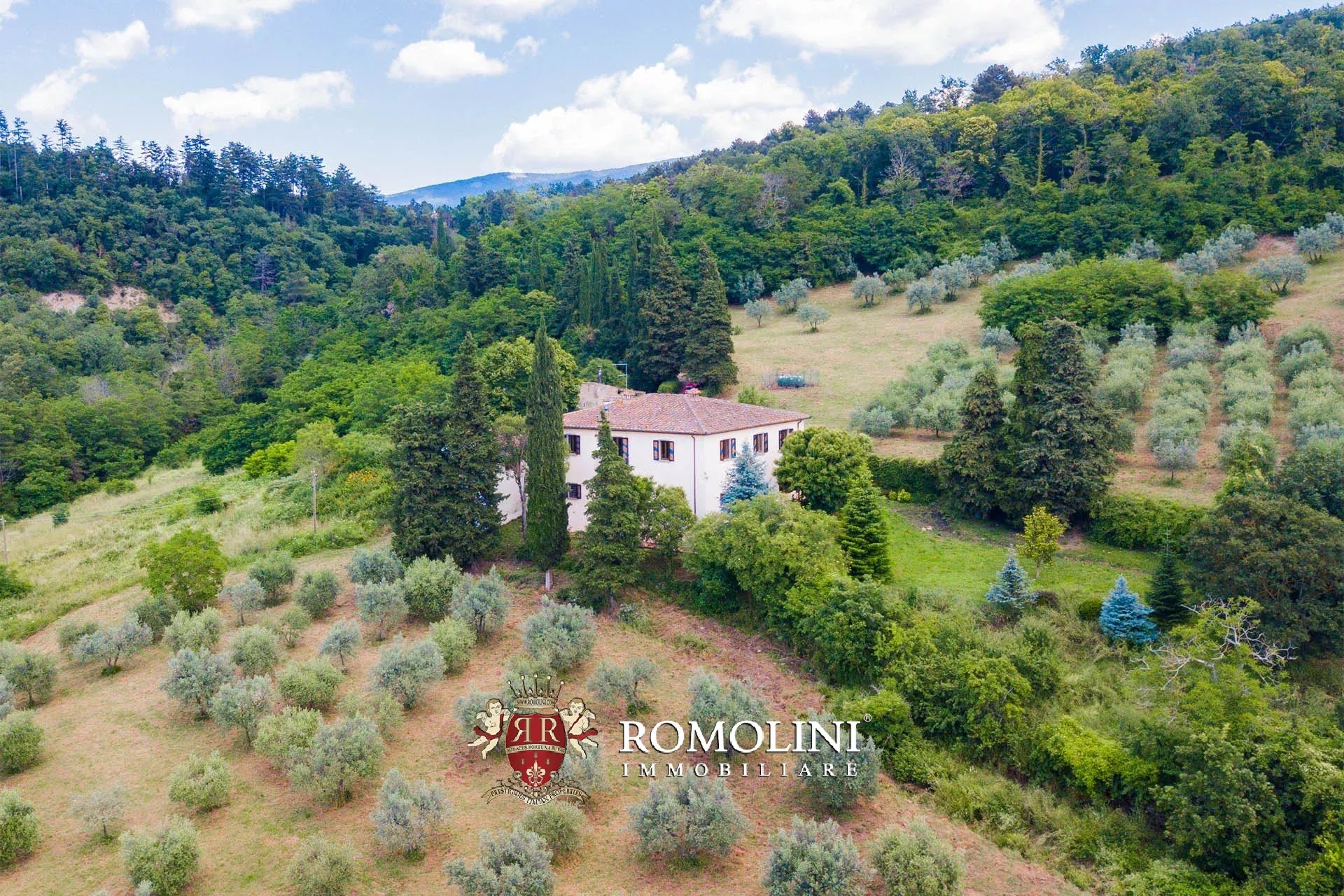 Property Slider Image