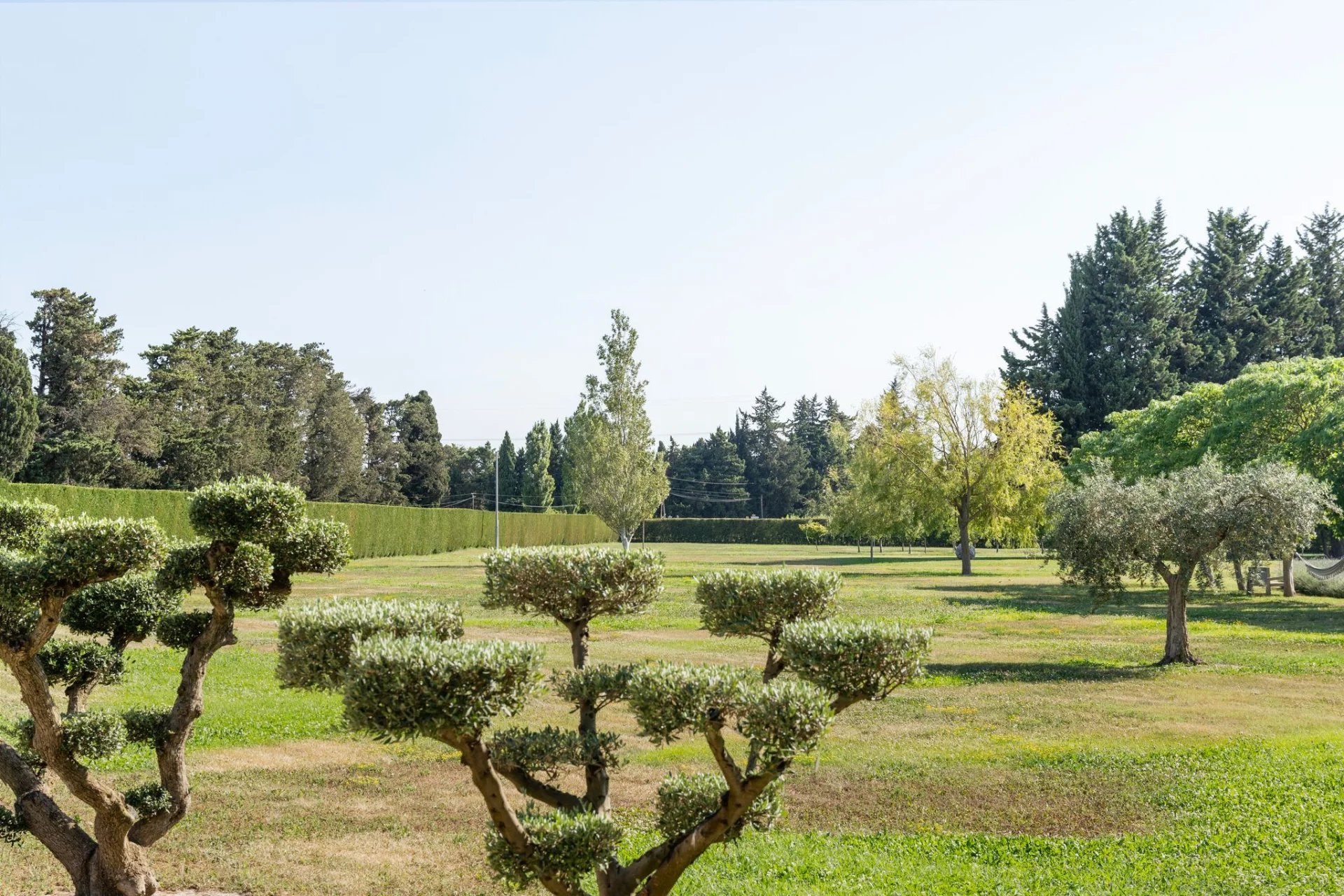 Beautiful Mas Provençal close to Saint-Rémy-de-Provence