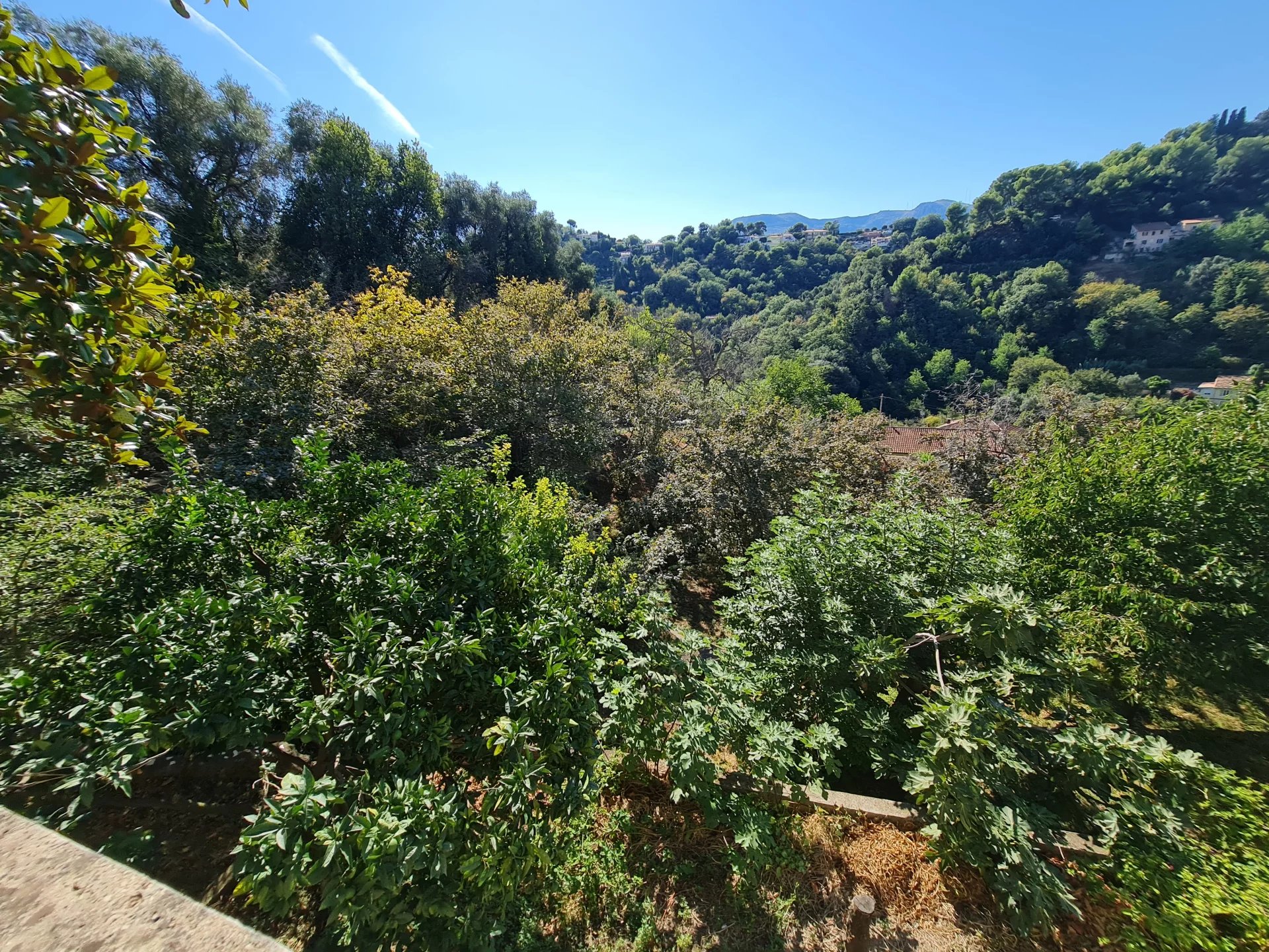 Vendita Villa Mentone