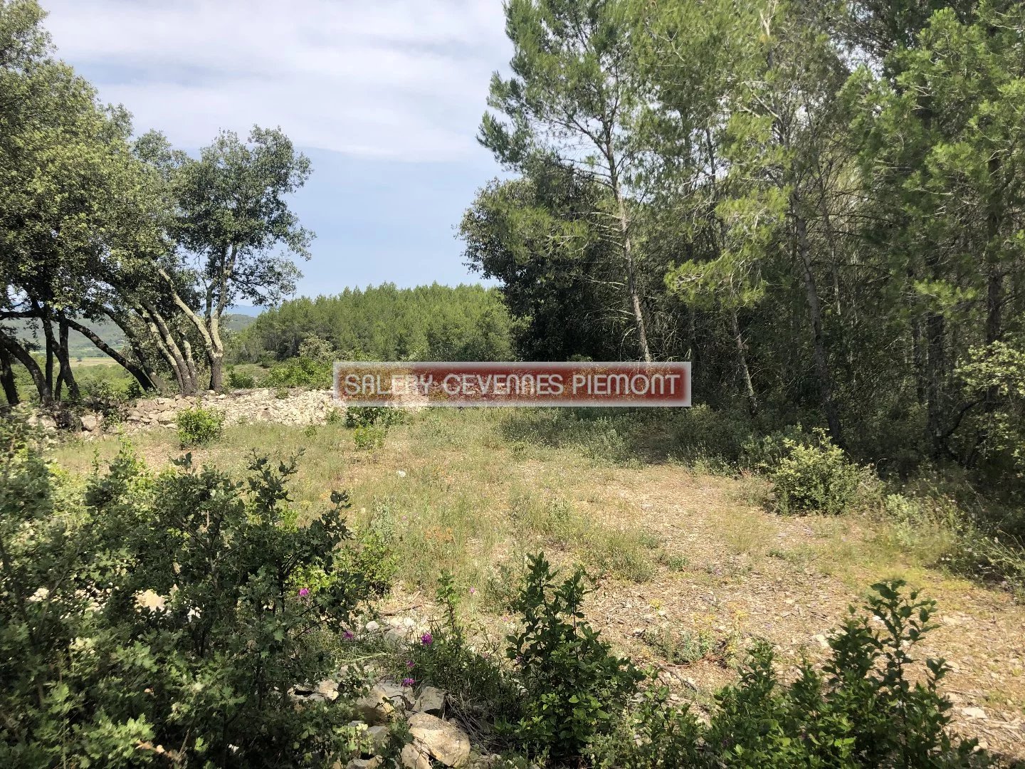 Vente Terrain Crespian