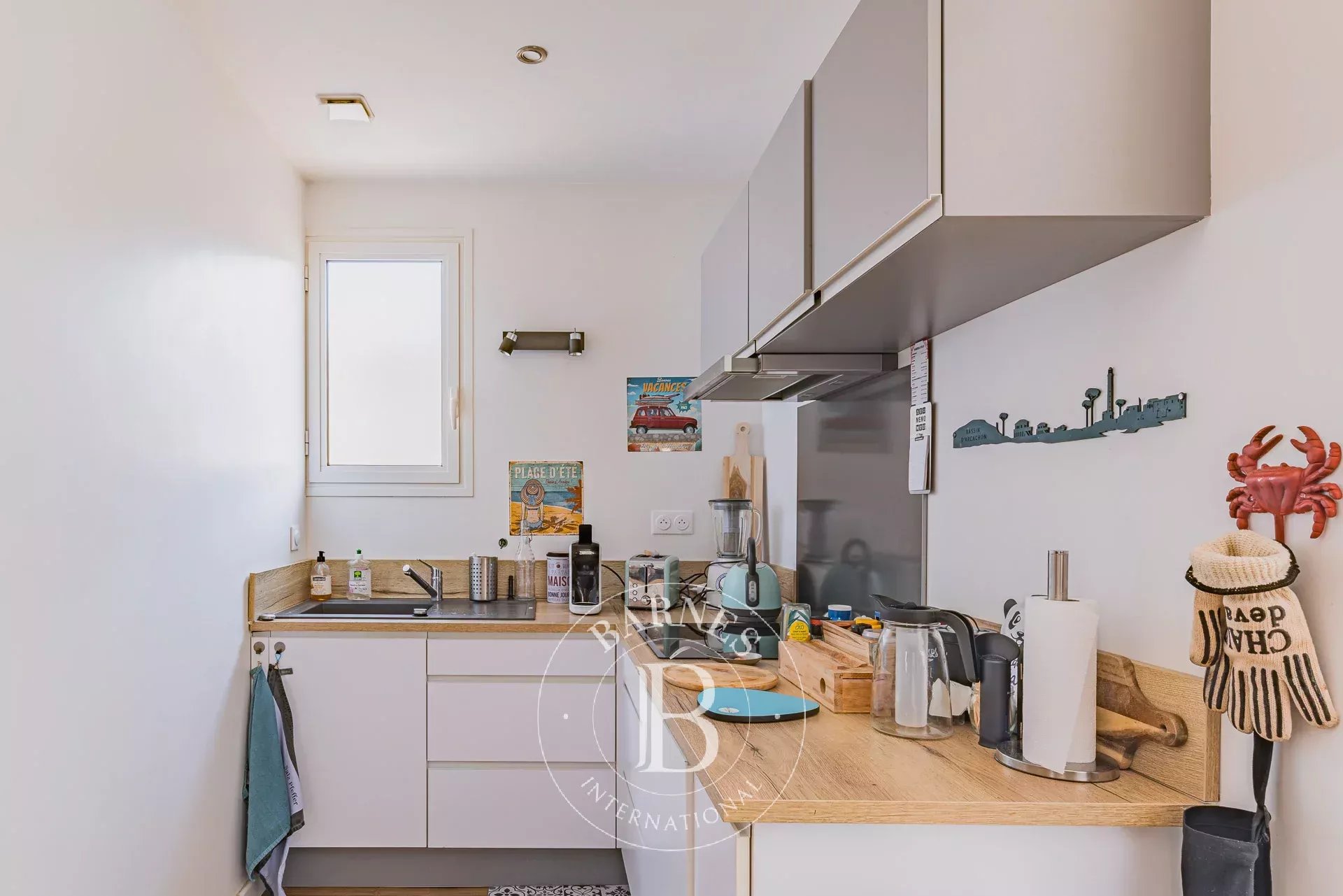 Ev Arcachon - picture 8