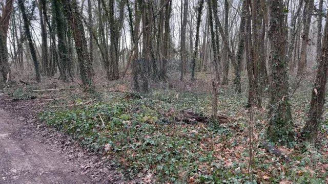 Agence immobilière de Agence l'Angelus de Barbizon