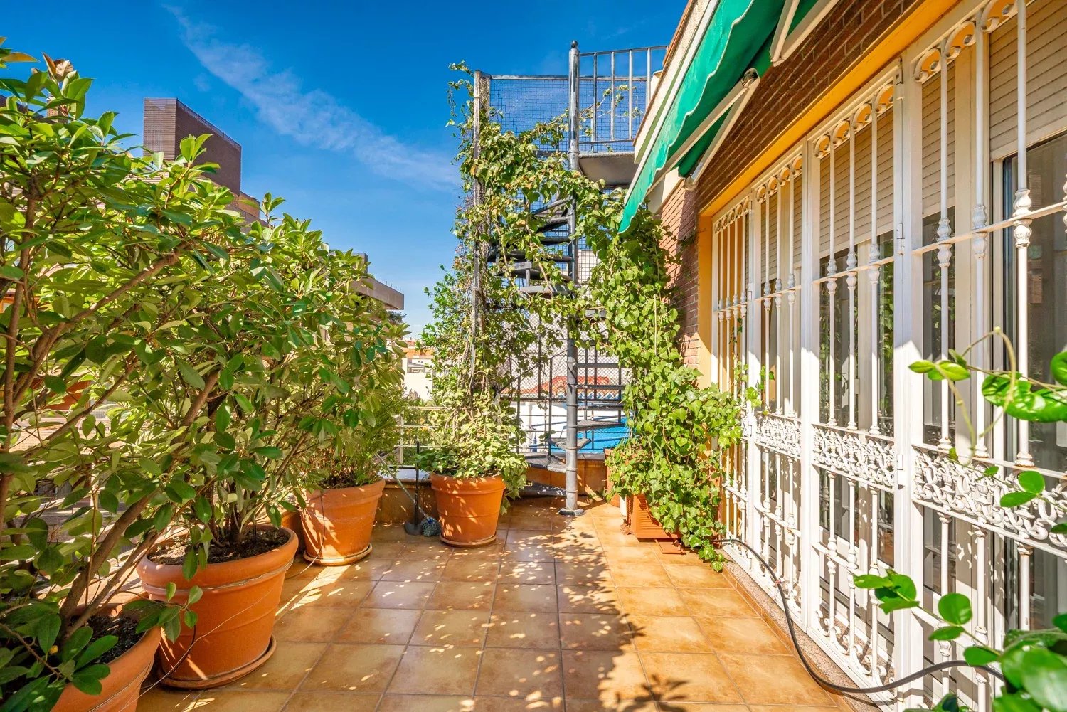 Daire Madrid - picture 27