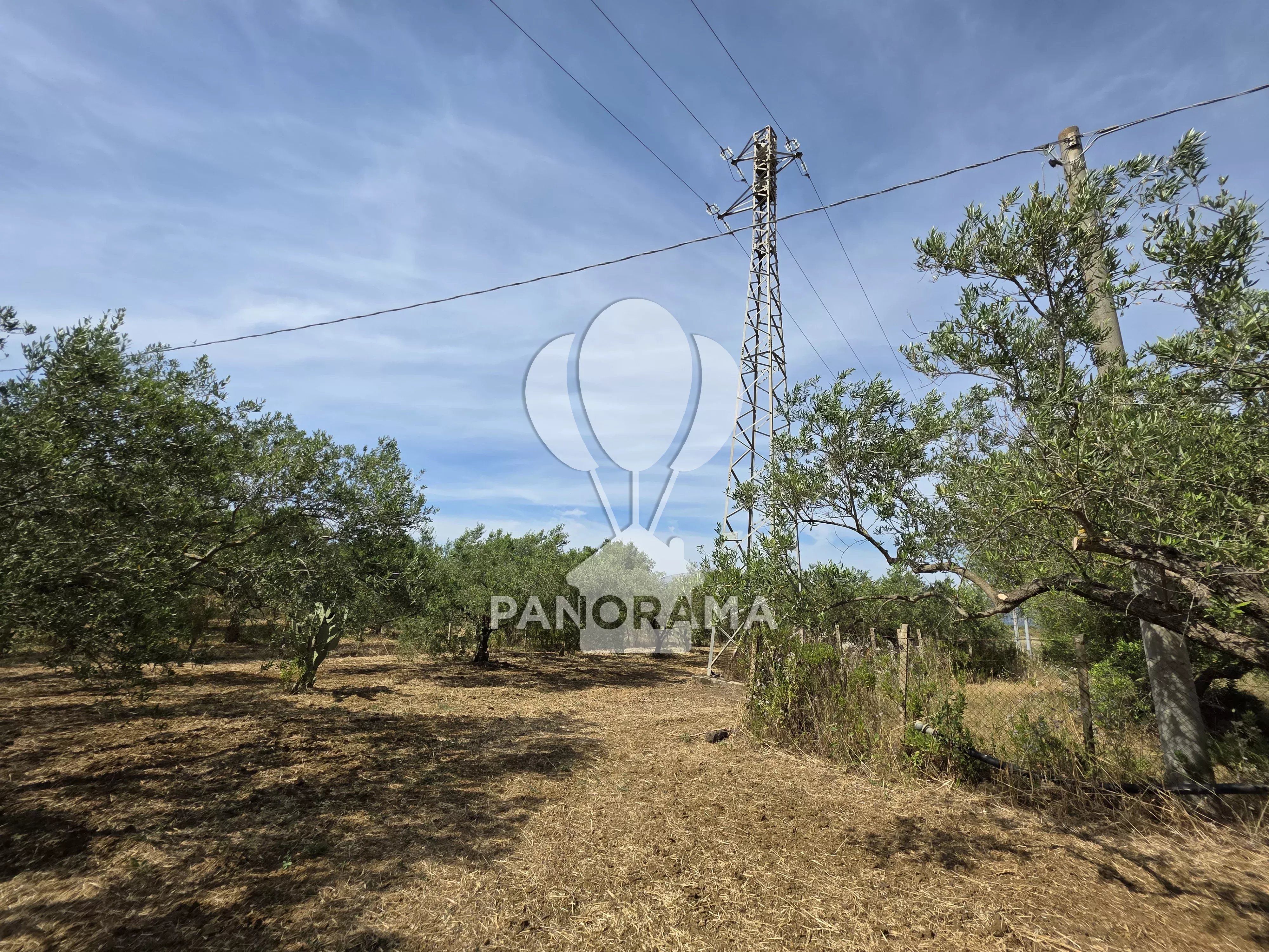 Vendita Terreno Partinico