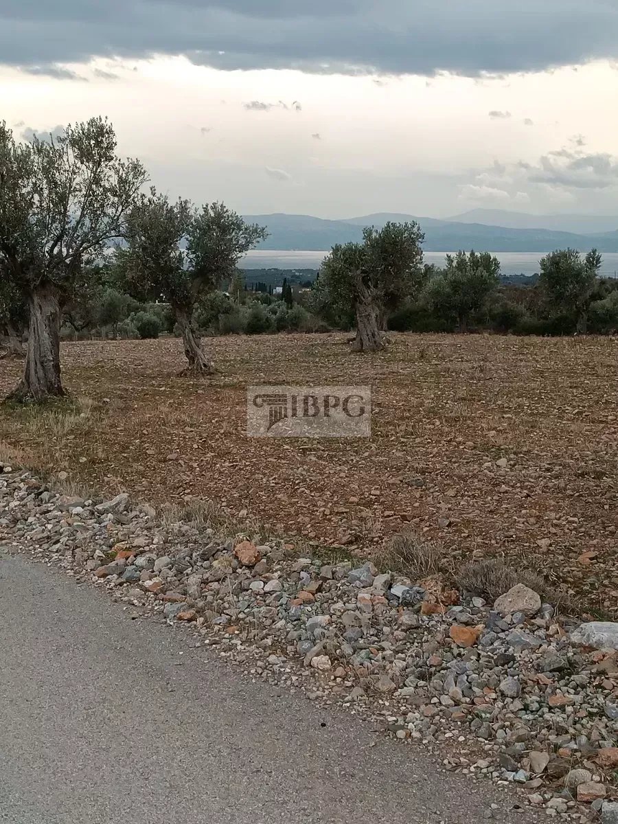 for sale Land in Amarinthos Central Greece 75000m2 ,600000€