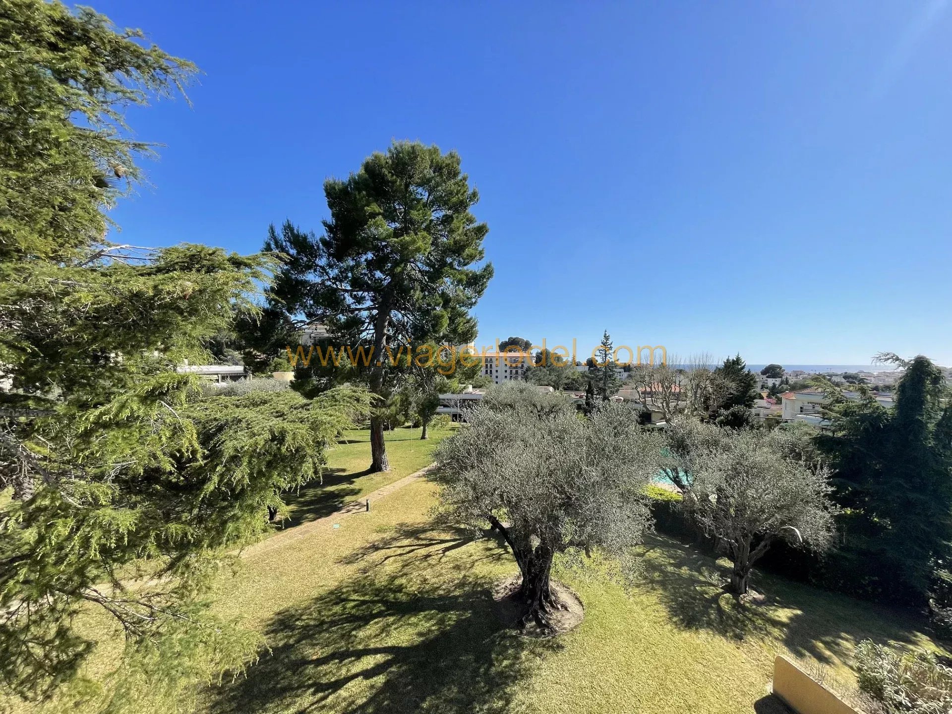 Ref.10060 - LE CANNET PEN CHAÏ, BARE OWNERSHIP