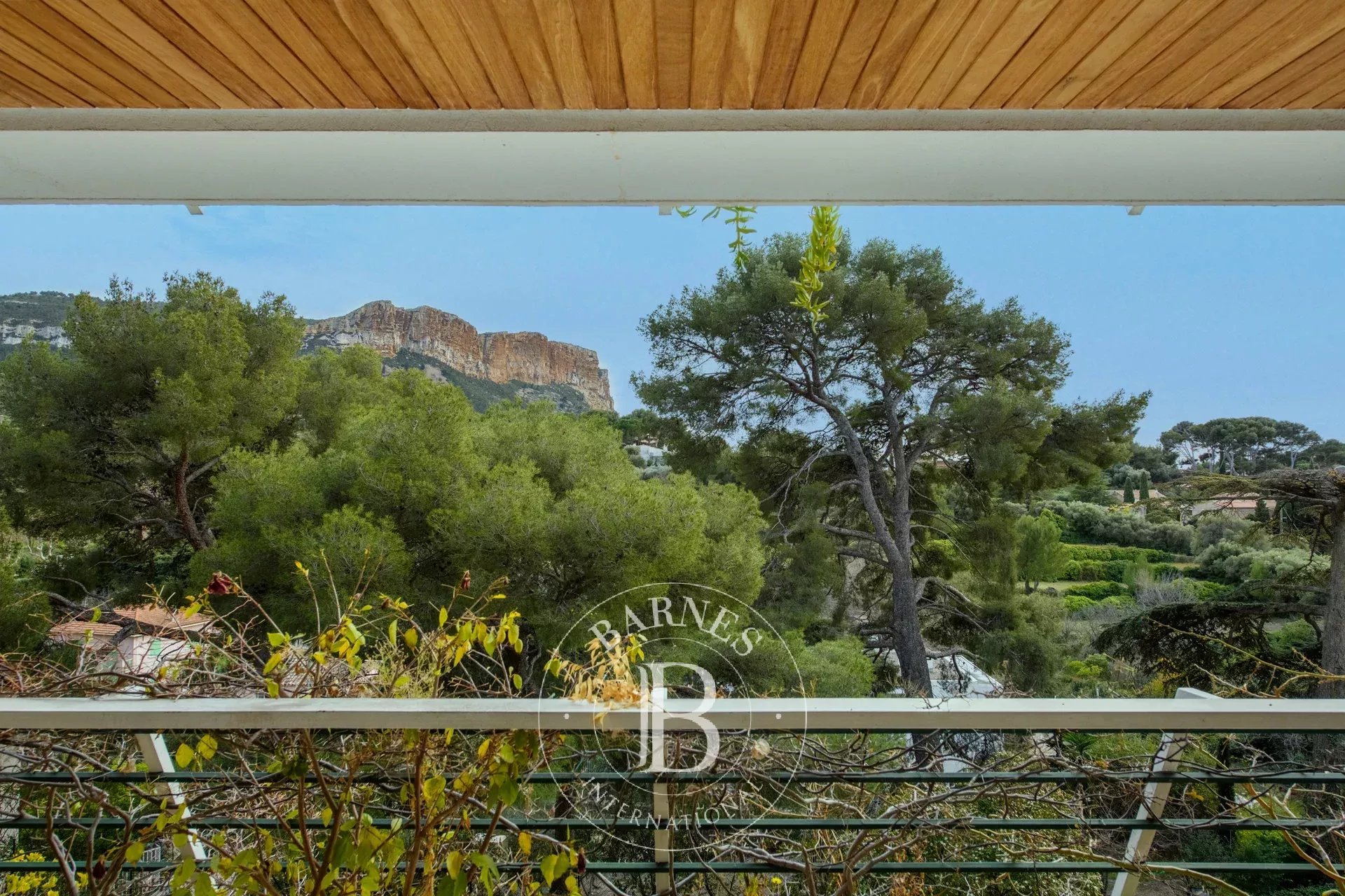 Daire Cassis - picture 13