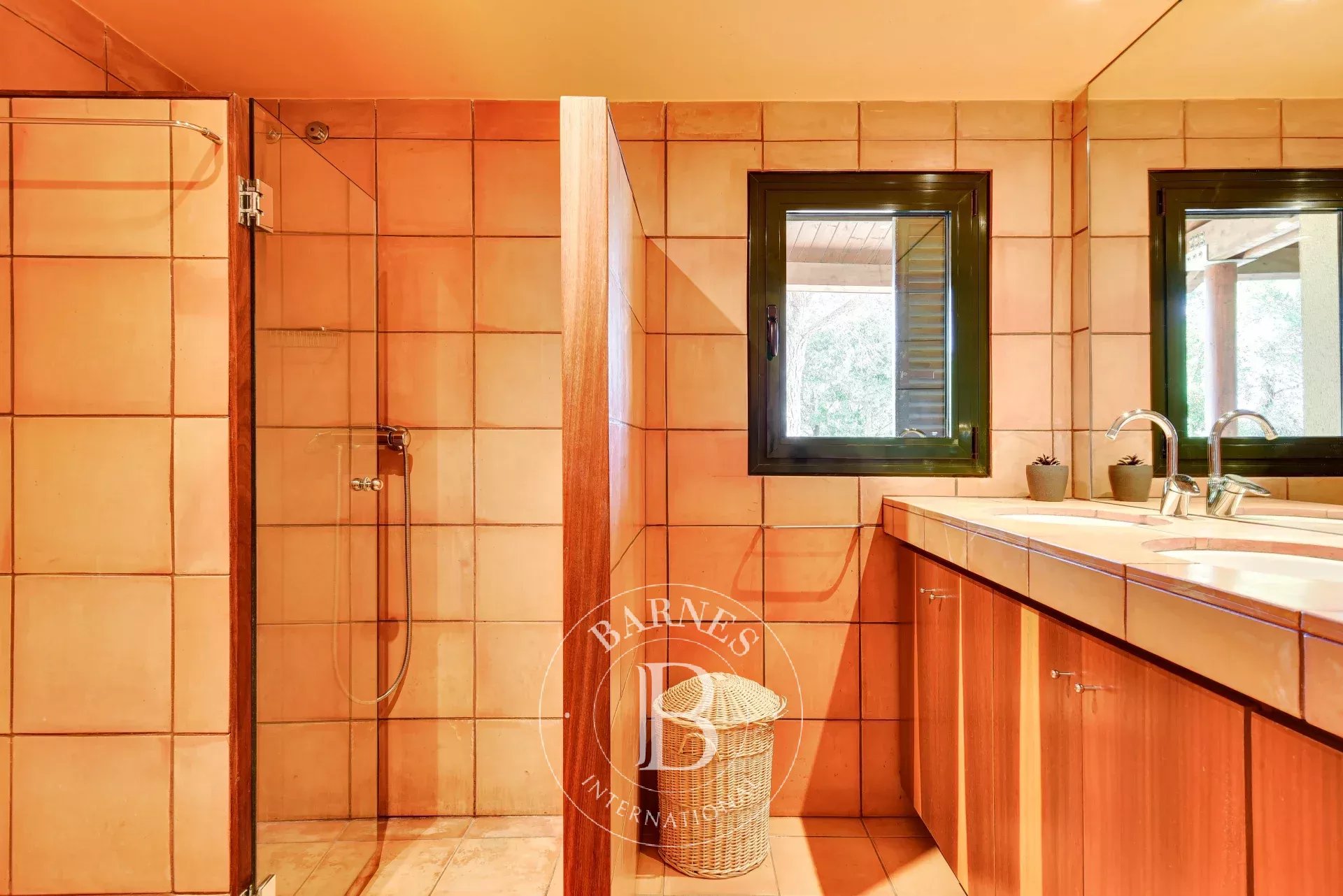 Çiftlik Capmany - picture 27