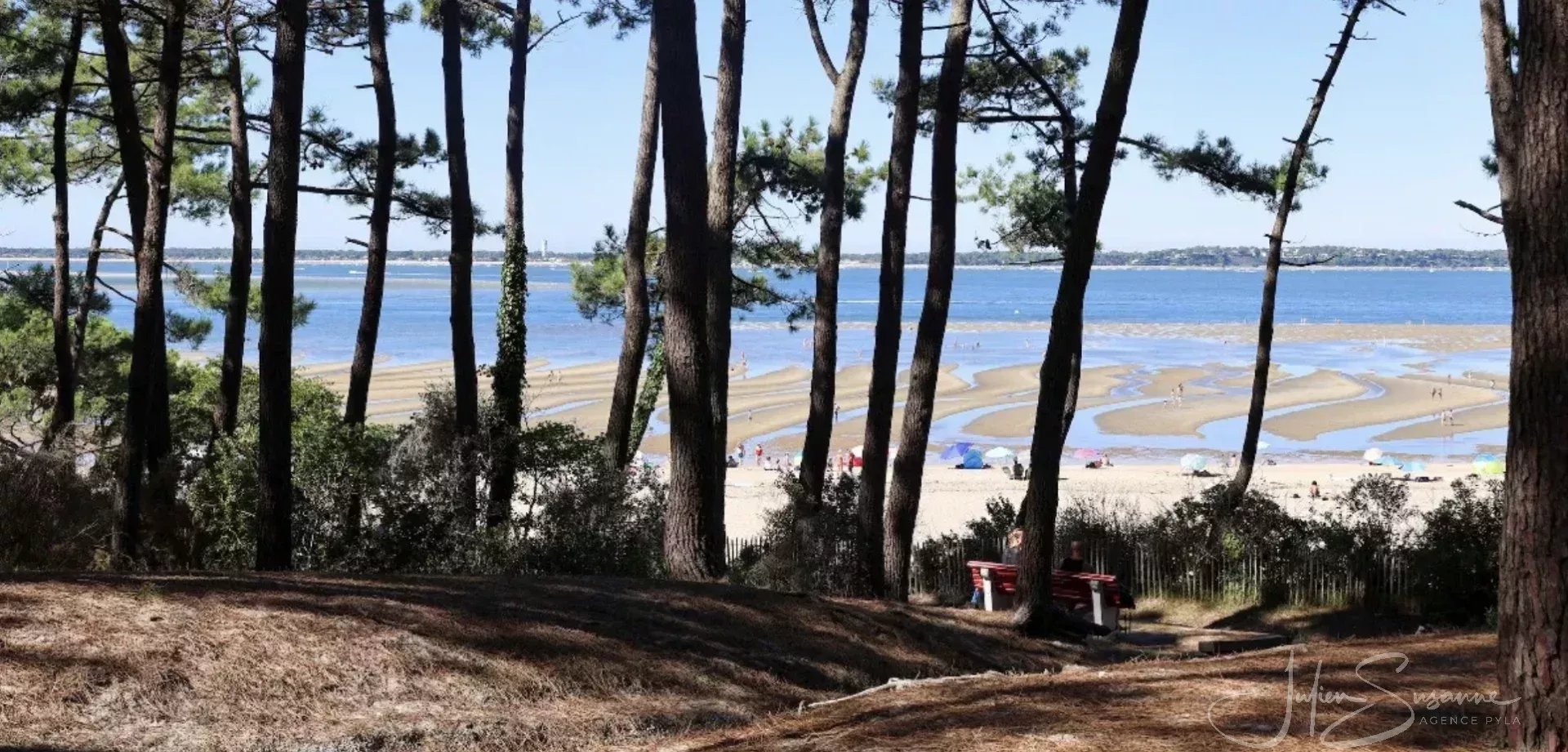 Agence immobilière de Côte d'Argent Immobilier