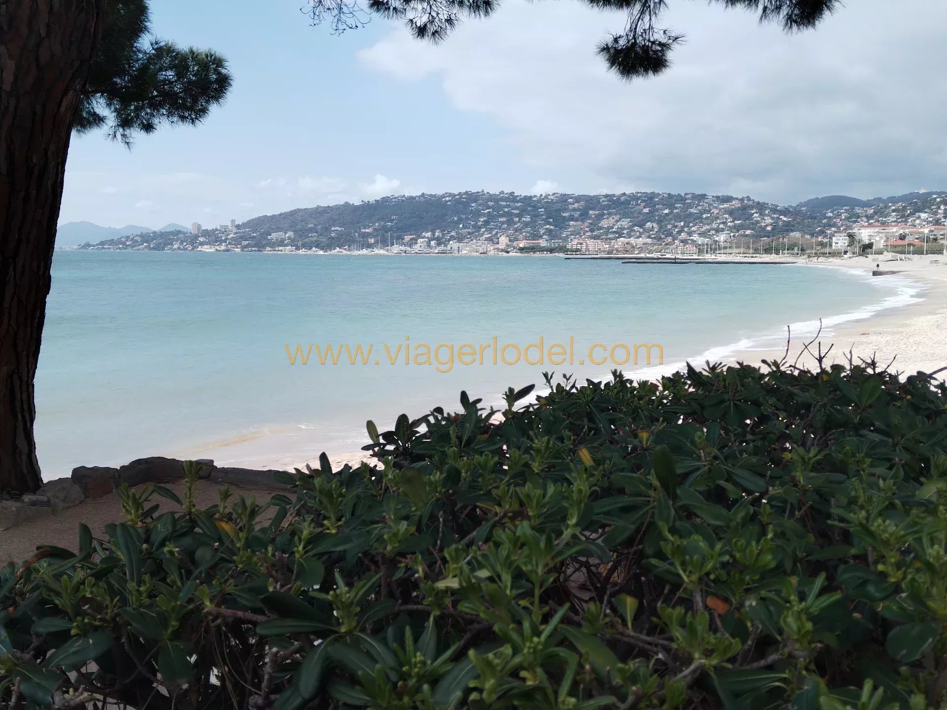Ref. 9749 - JUAN LES PINS (06) - BARE OWNERSHIP - JUAN LES PINS - VACANT WITHIN 4 YEARS