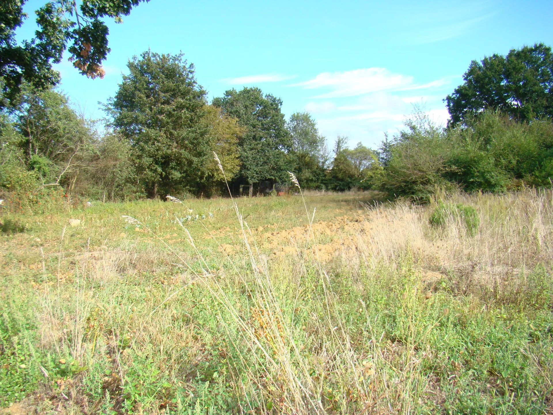 Vente Terrain constructible La Ferrière-Airoux