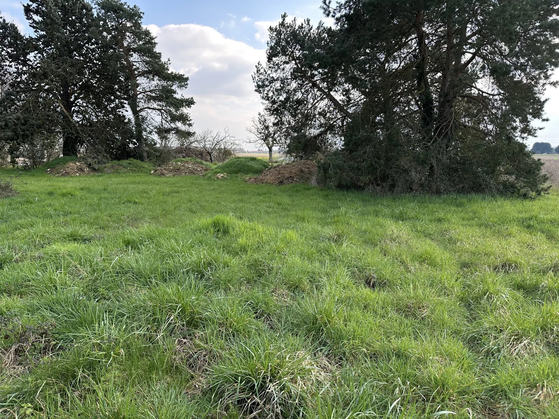 Terrain Constructible à Athée-sur-Cher