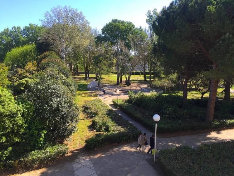 Location Appartement La Grande-Motte