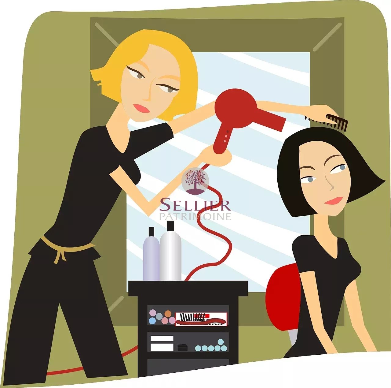 Agence immobilière de Sellier Patrimoine