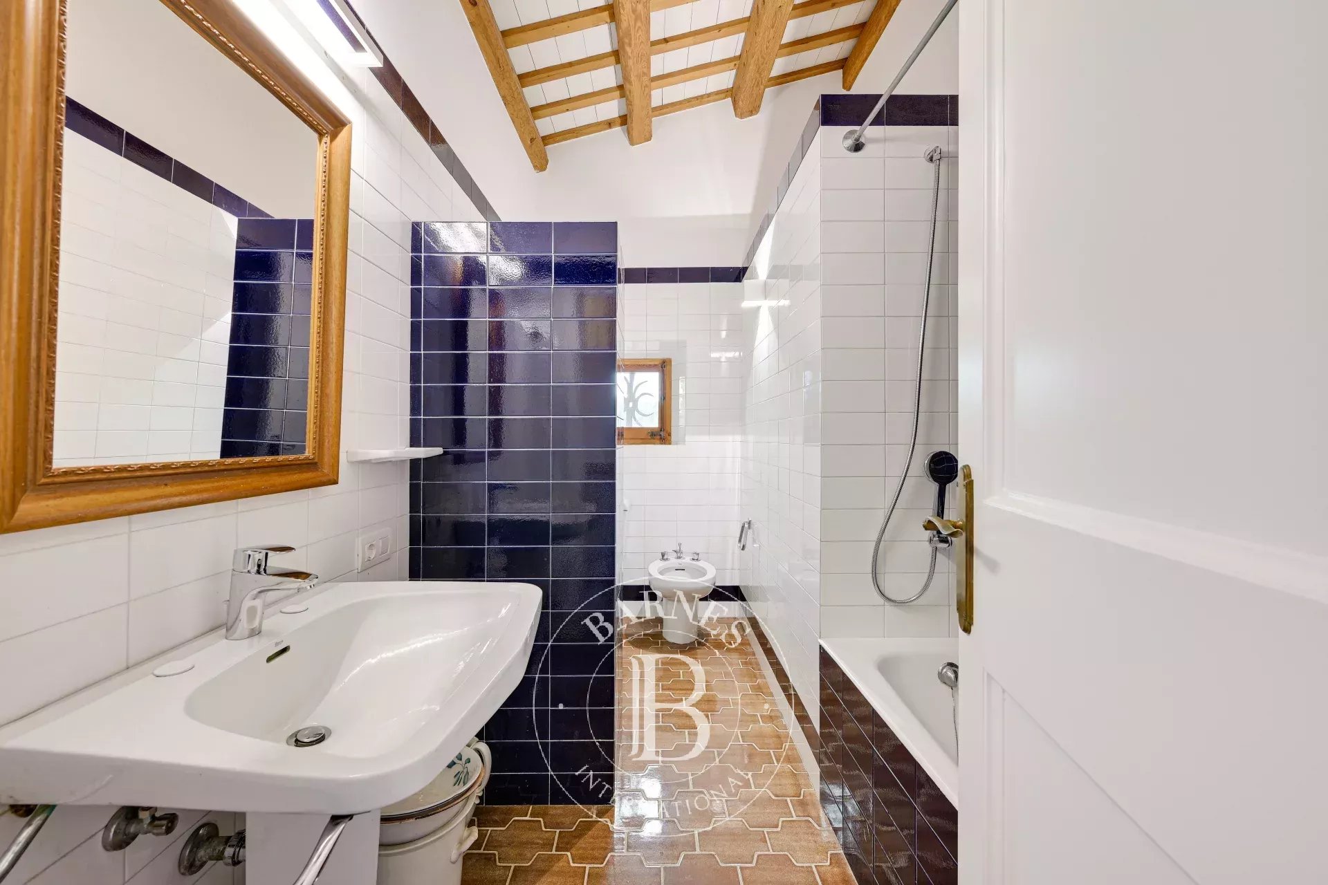 Çiftlik Llagostera - picture 26