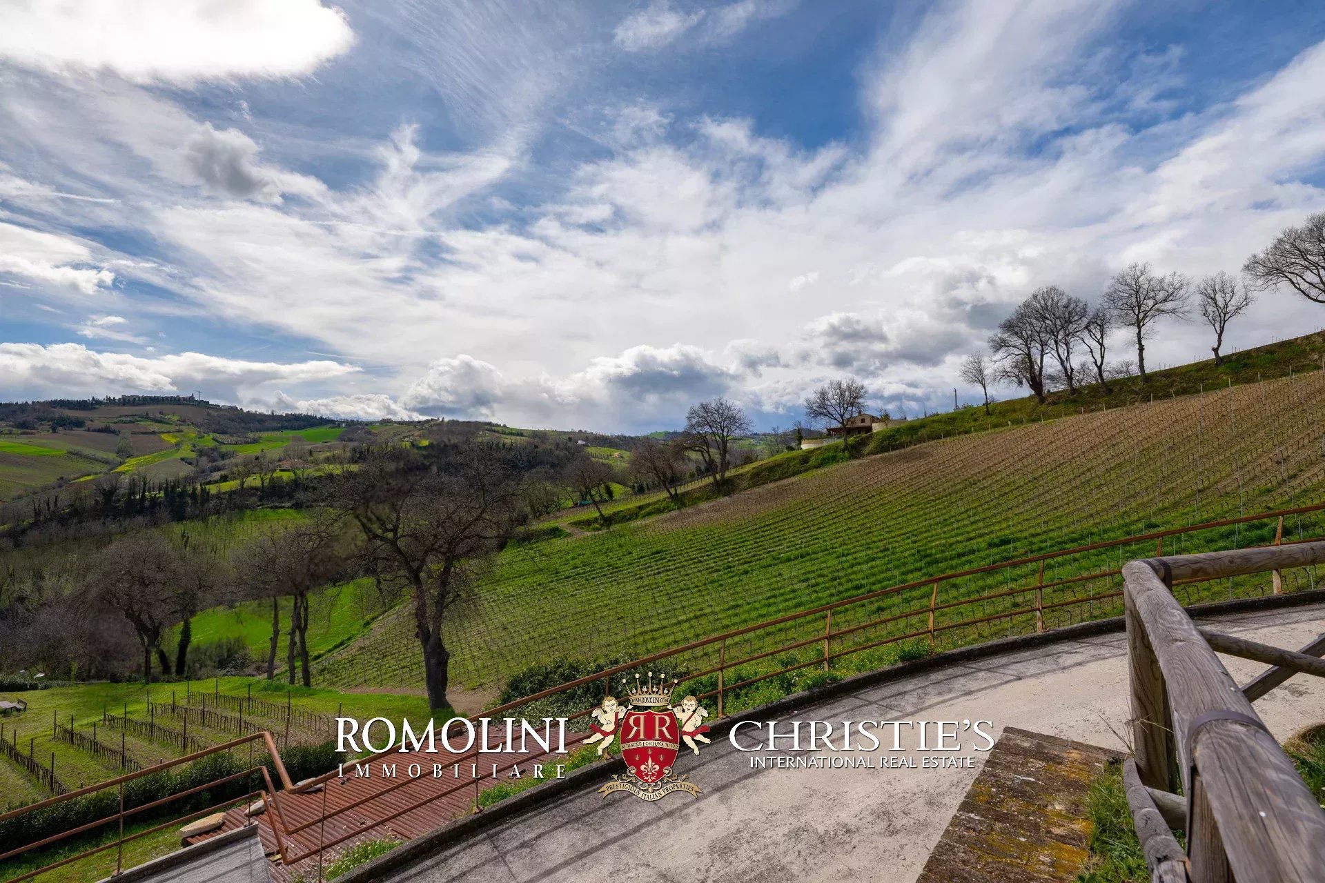 13 Bedroom Vineyard's Image 10
