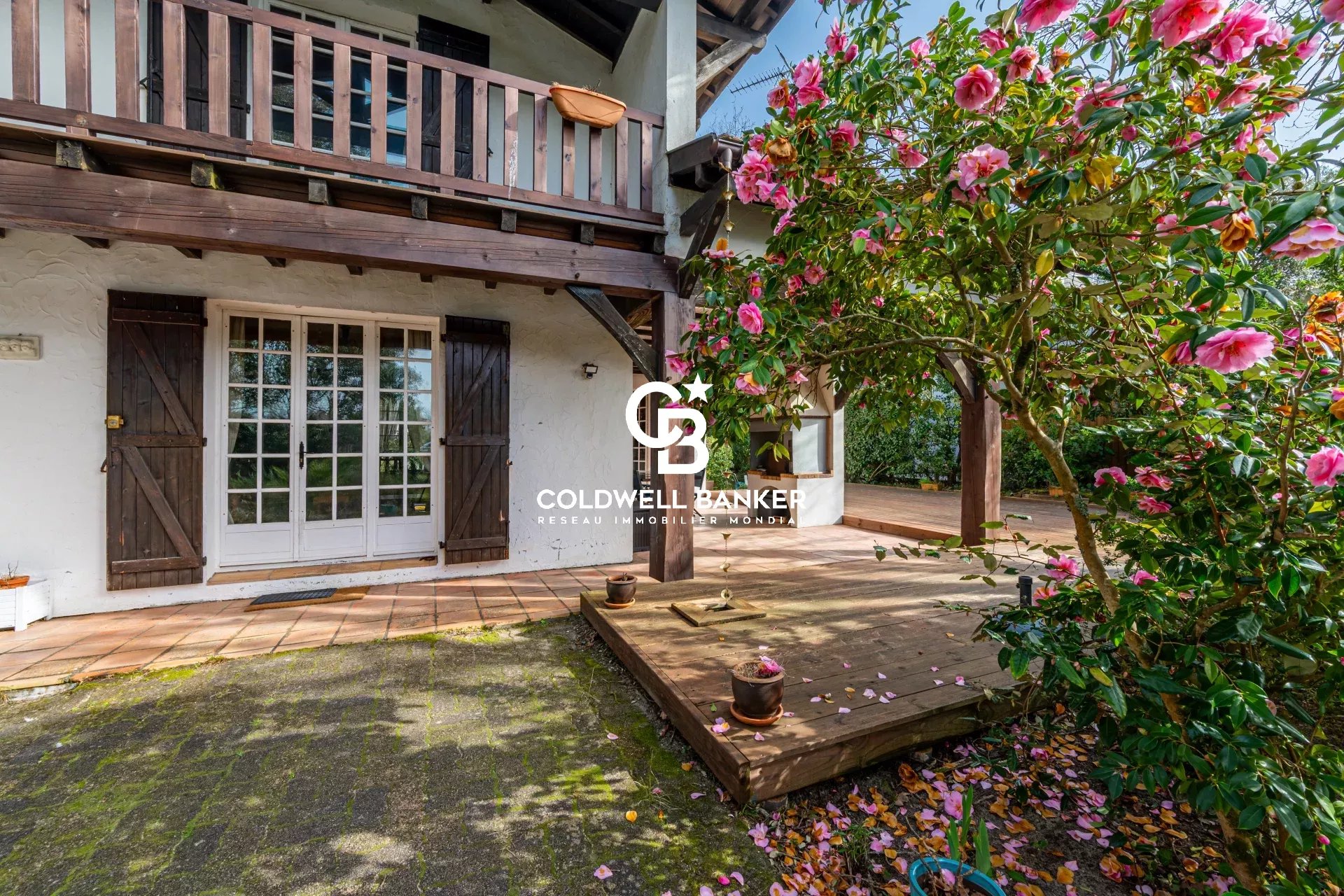 Agence immobilière de Silver Coast Int. Realty