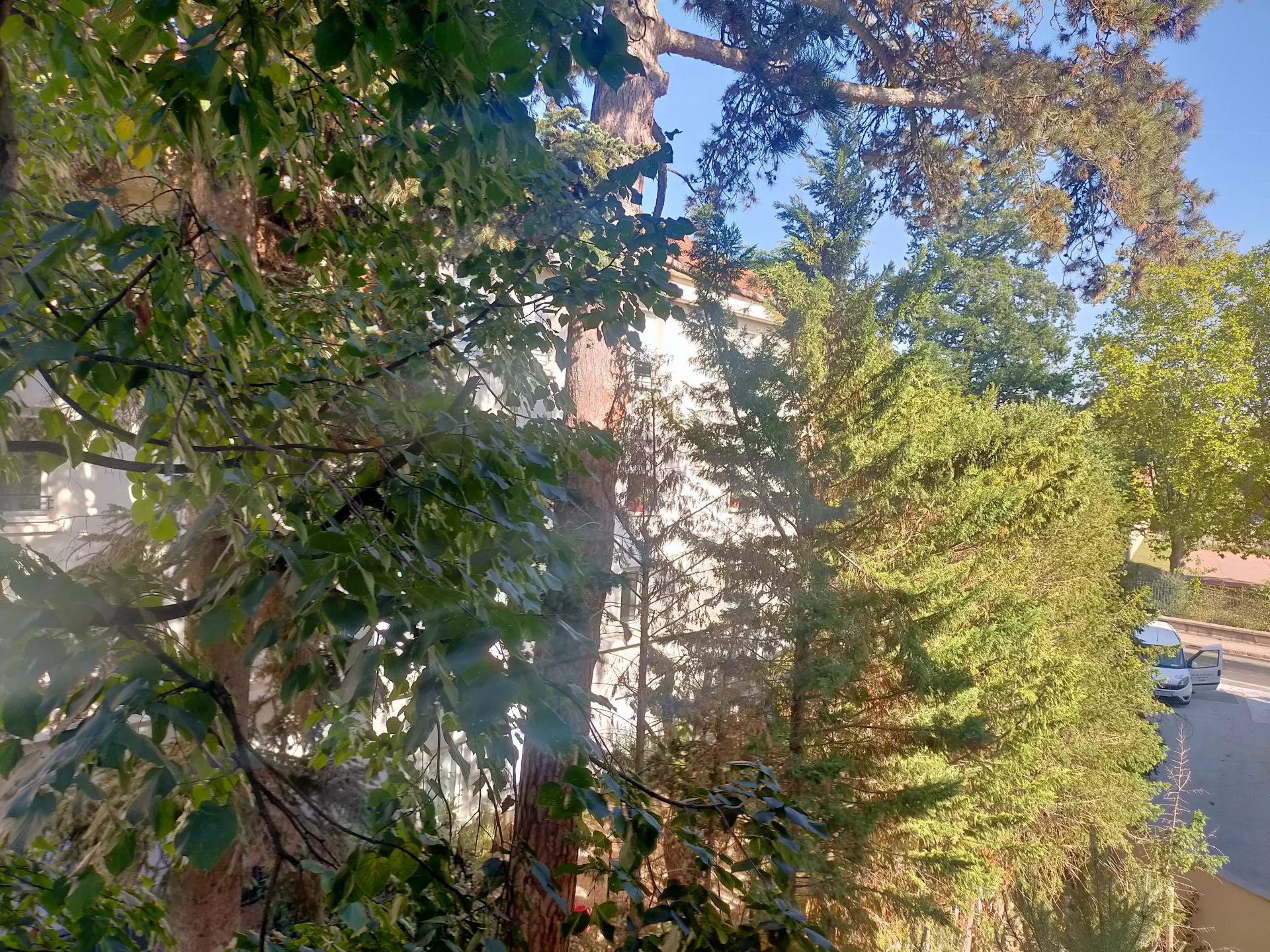 83399950 Location Tassin-la-Demi-Lune