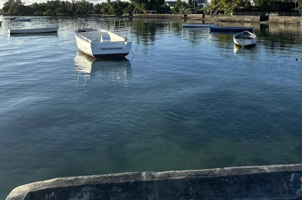 Mülkiyet Roches Noires - picture 7