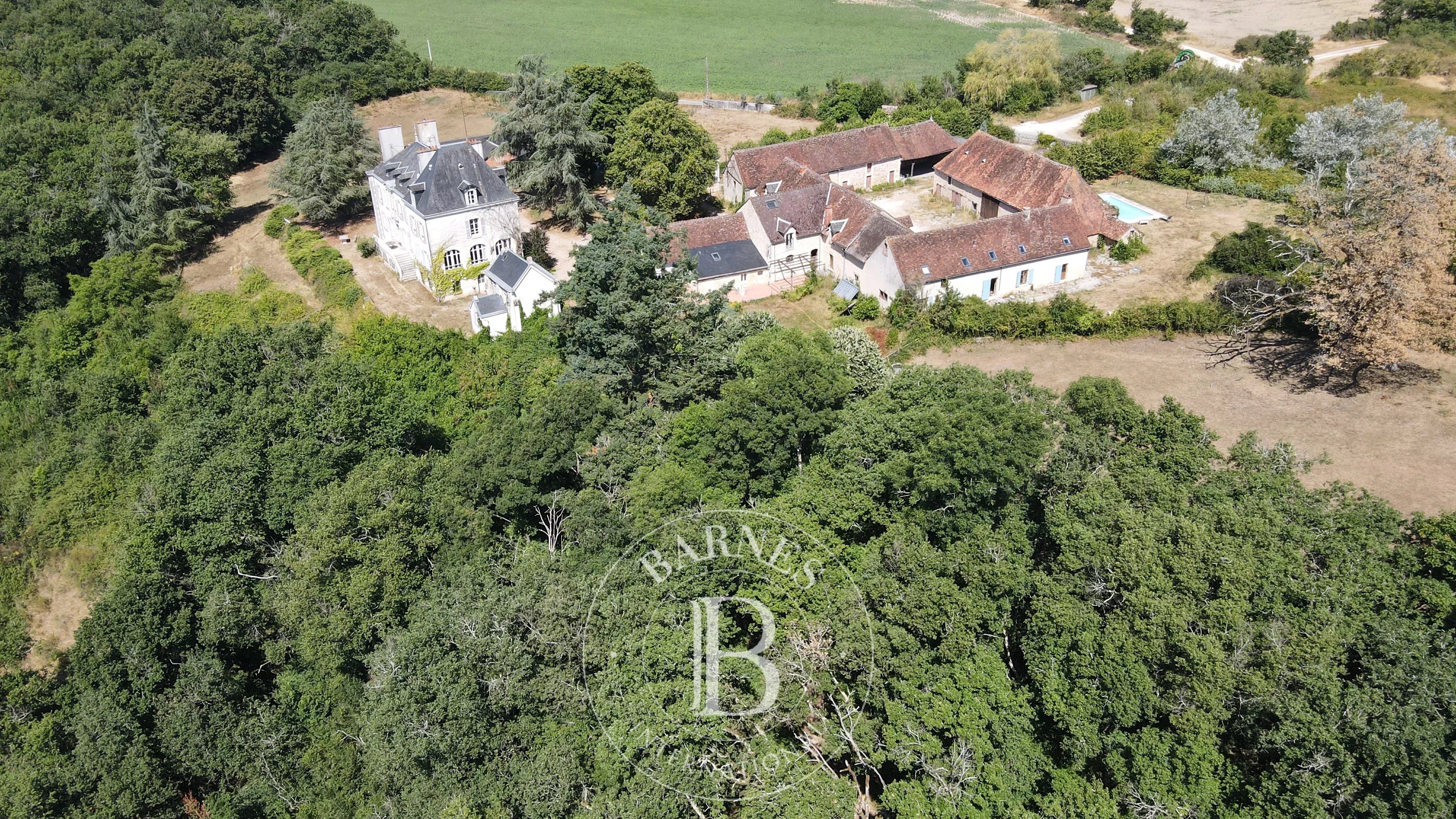 Château Saint-Gaultier  -  ref 85701829 (picture 2)