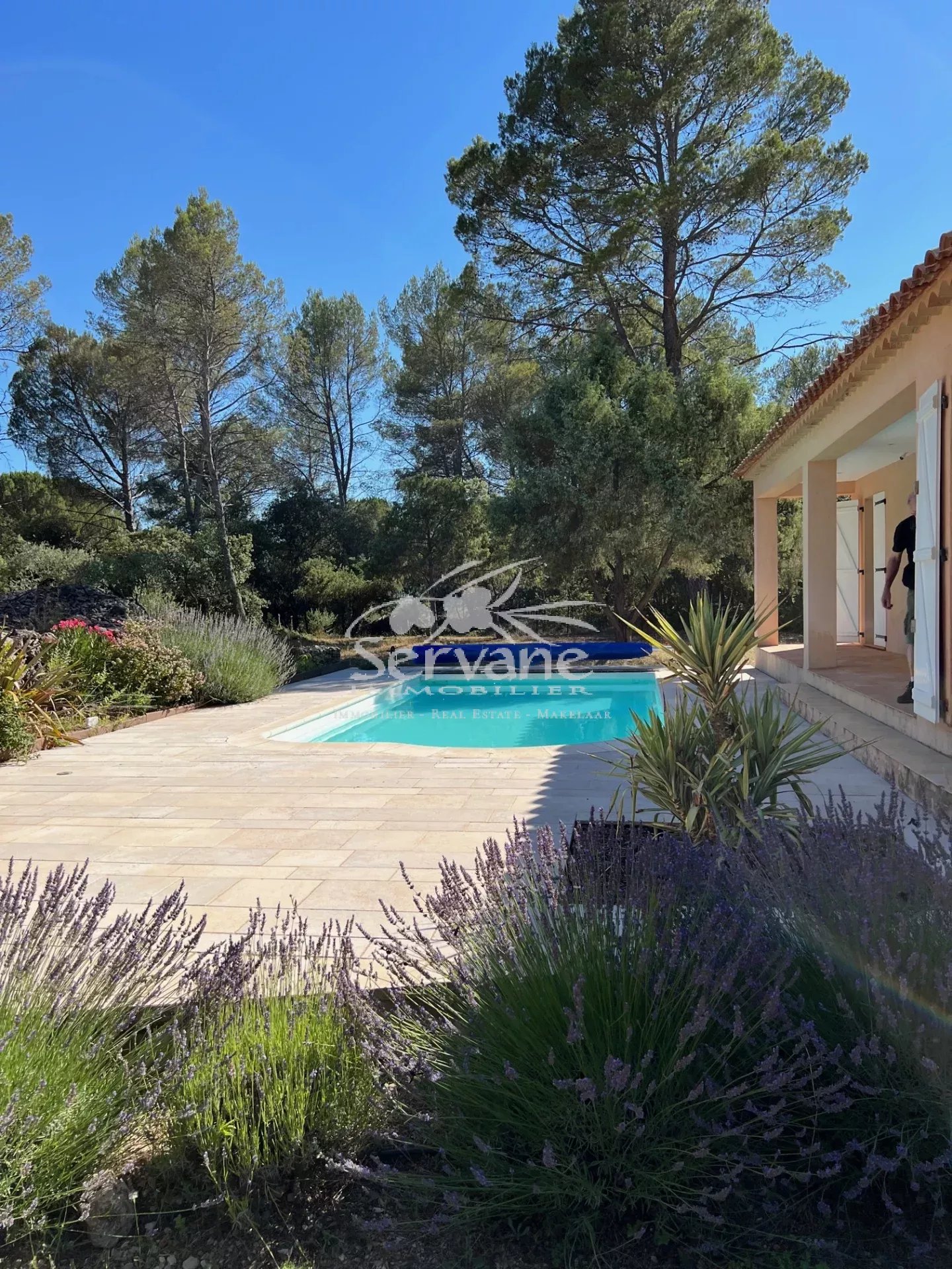 CHARMING HOUSE MONTFORT SUR ARGENS T3