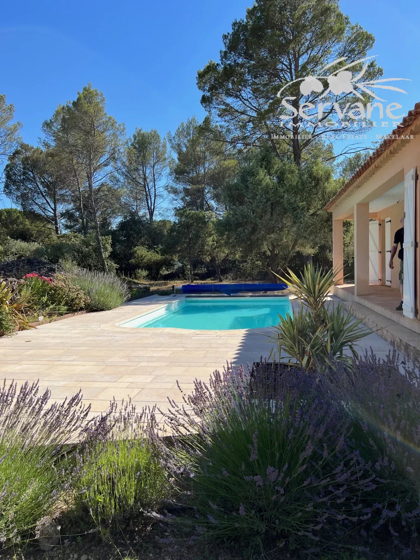 CHARMING HOUSE MONTFORT SUR ARGENS T3