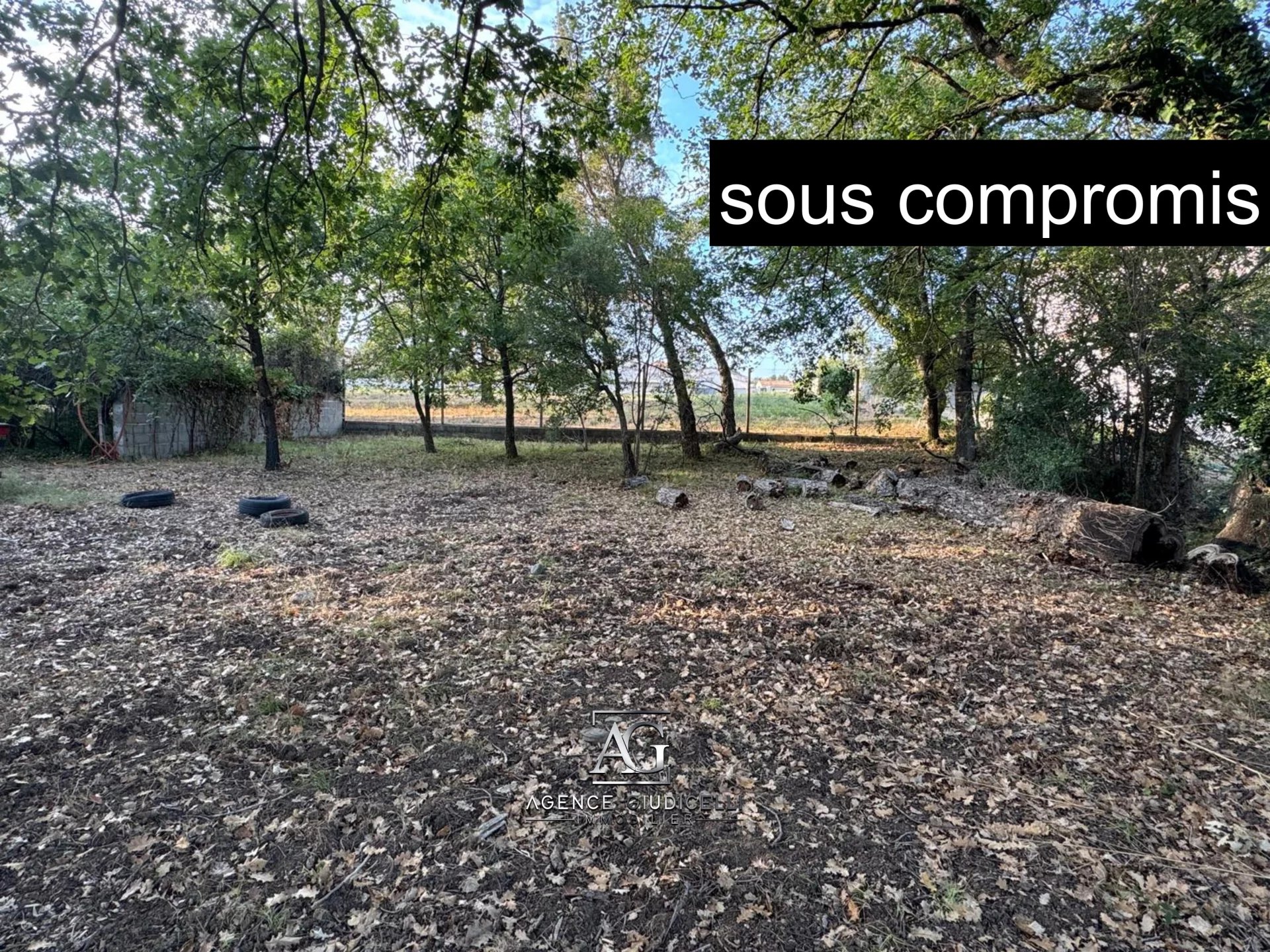 Vente Terrain Prunelli-di-Fiumorbo