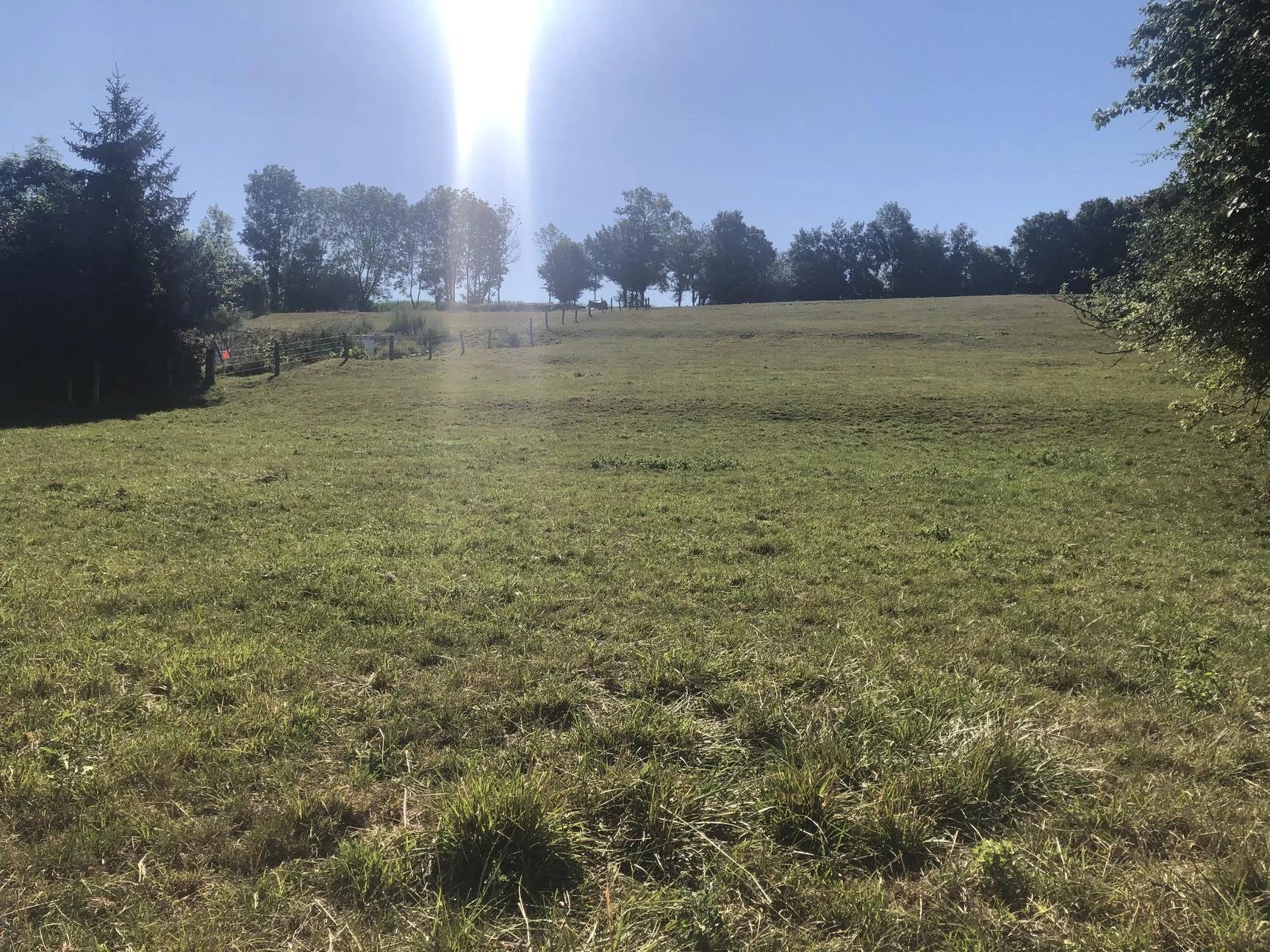 Vente Terrain Dommartin-aux-Bois