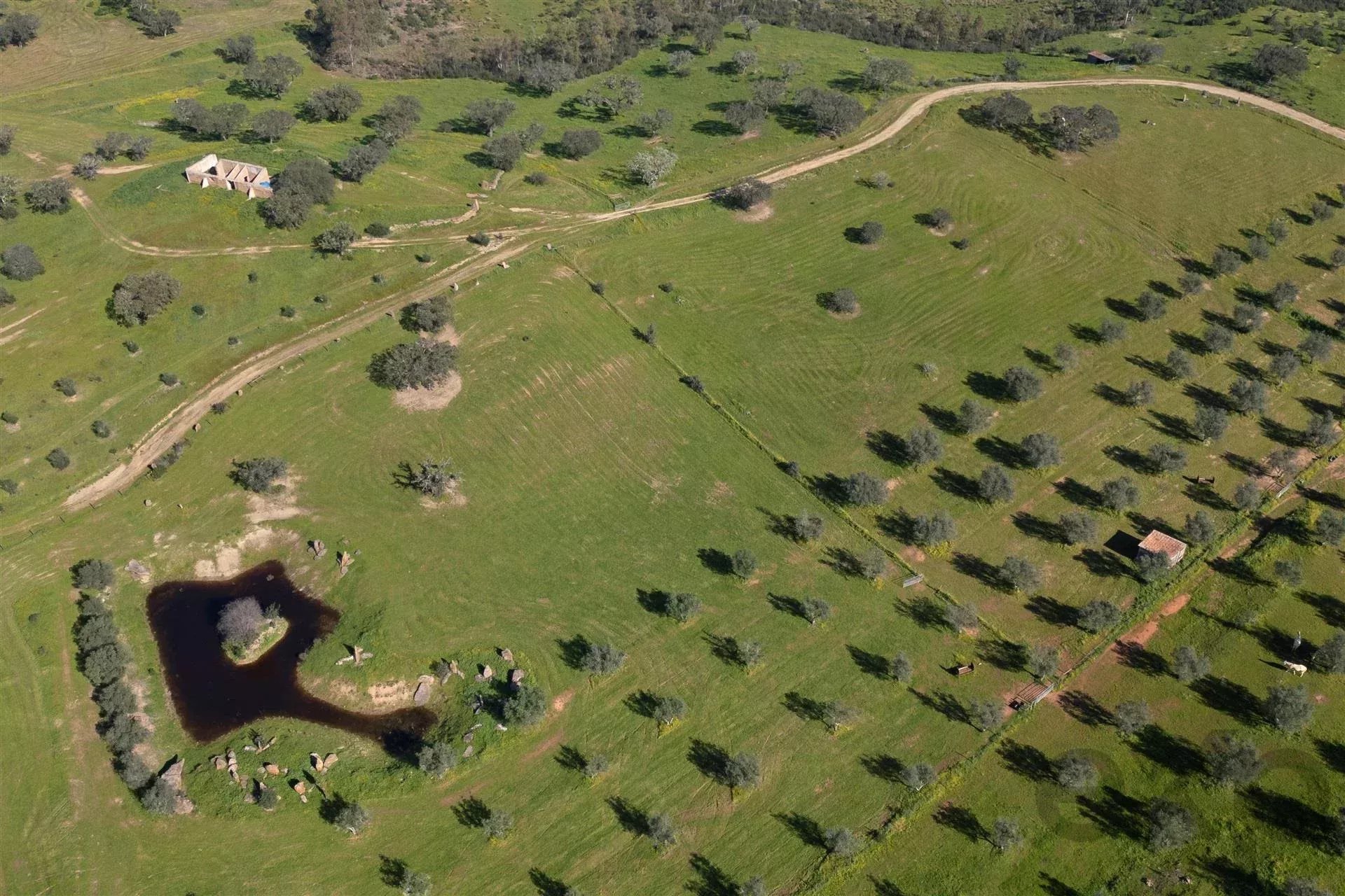Private Estate - Equestrian Centre 86637172 image 42