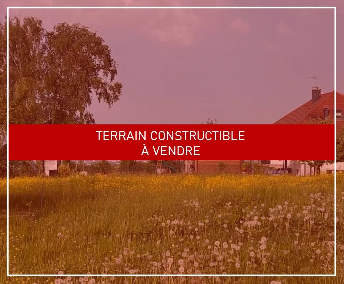 Vente Terrain Folgensbourg