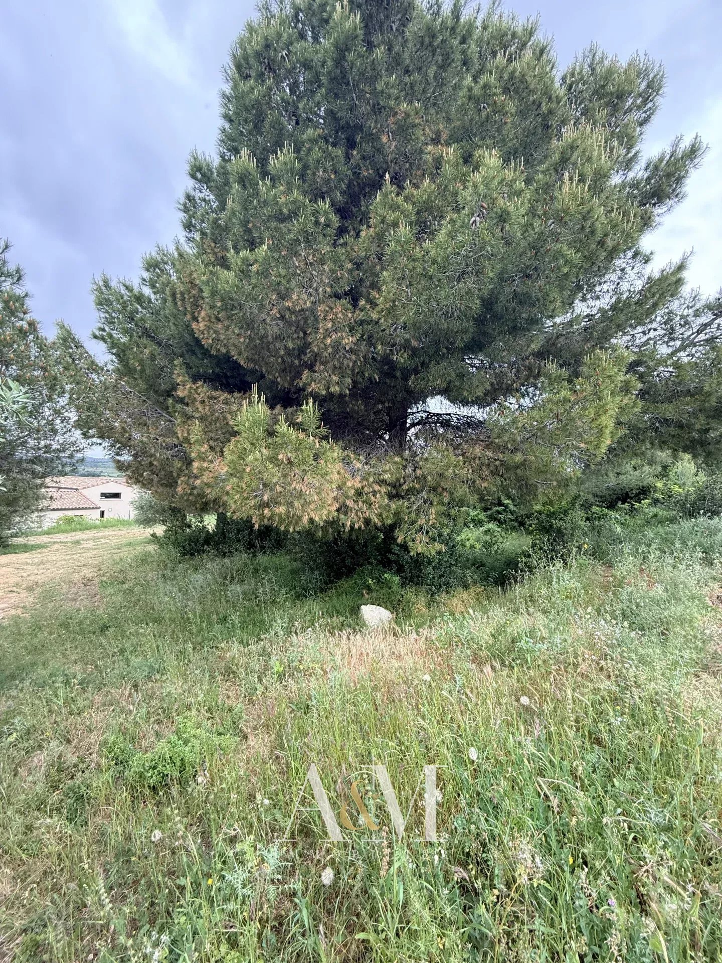 Terrain constructible 1058 m² viabilisé - Photo 5