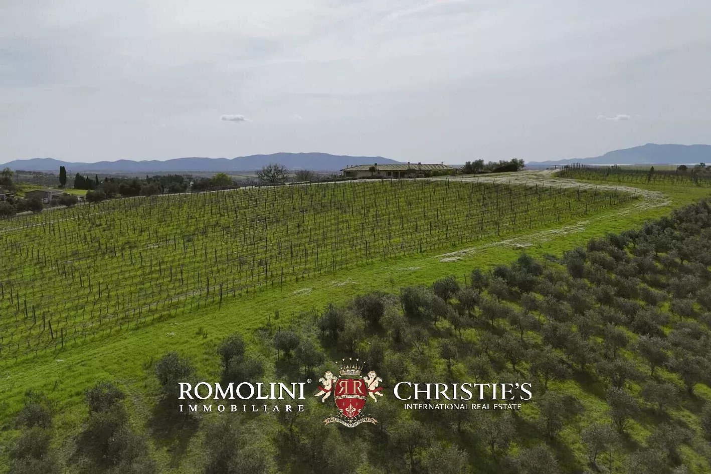 3 Bedroom Vineyard's Image 32