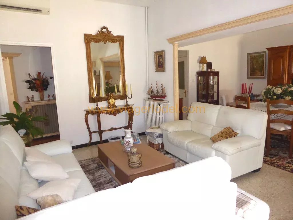 Ref. 9723 SINGLE PAYMENT ANNUITY, CANNES Banane