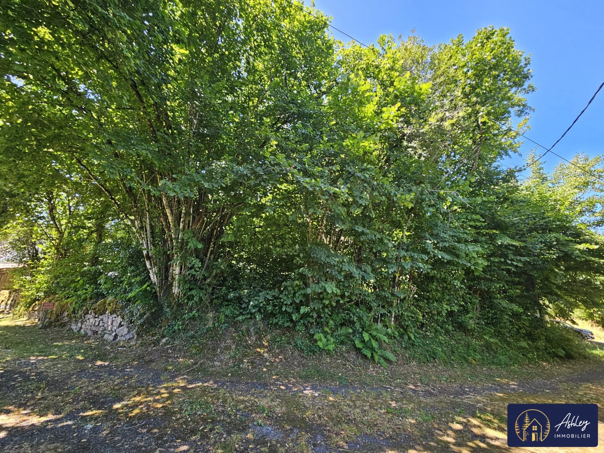 Vente Terrain constructible Neuvic