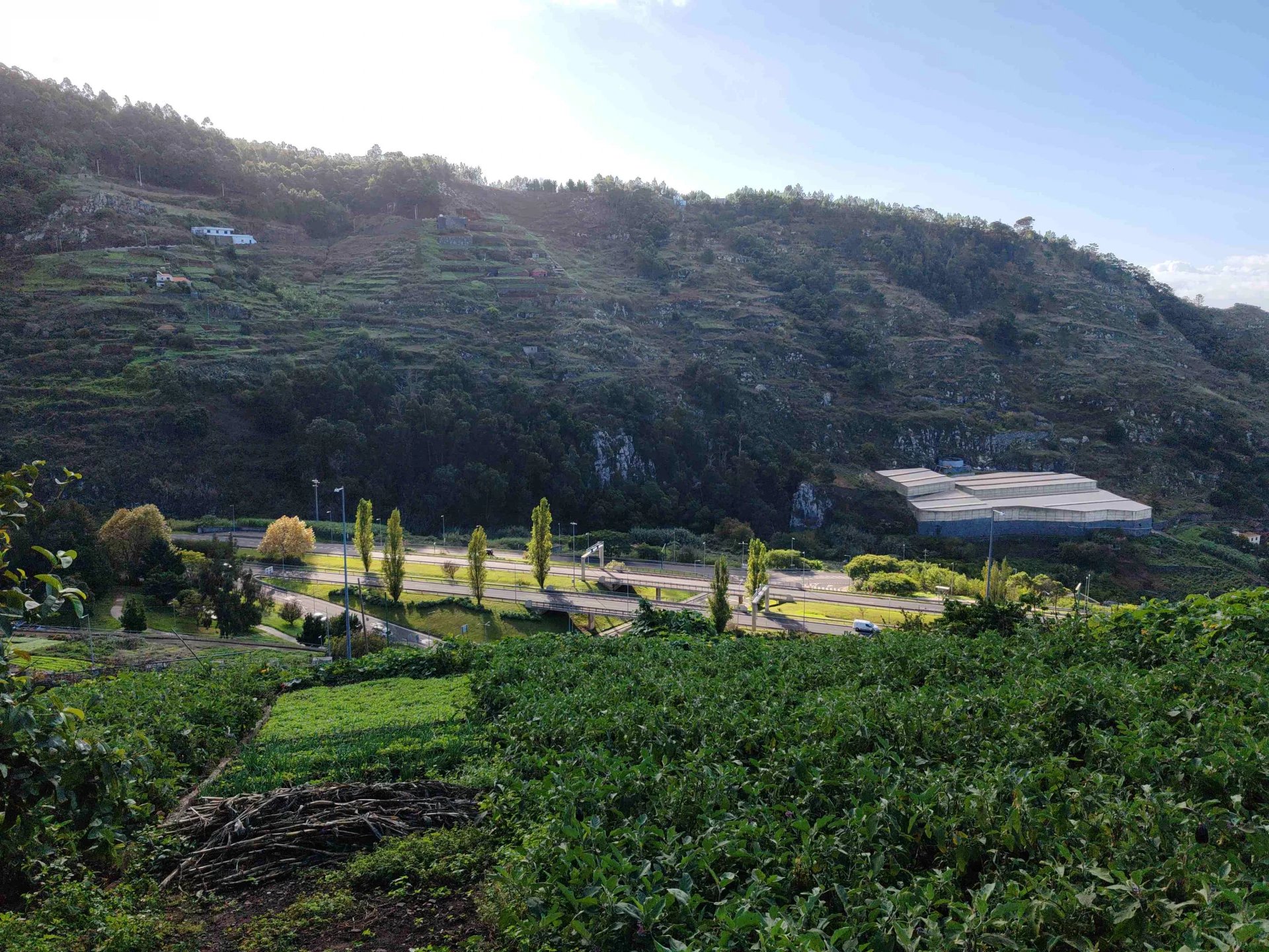 Building land with hangar.