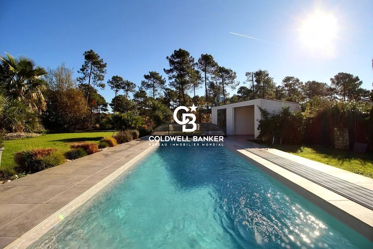 Agence immobilière de Silver Coast Int. Realty