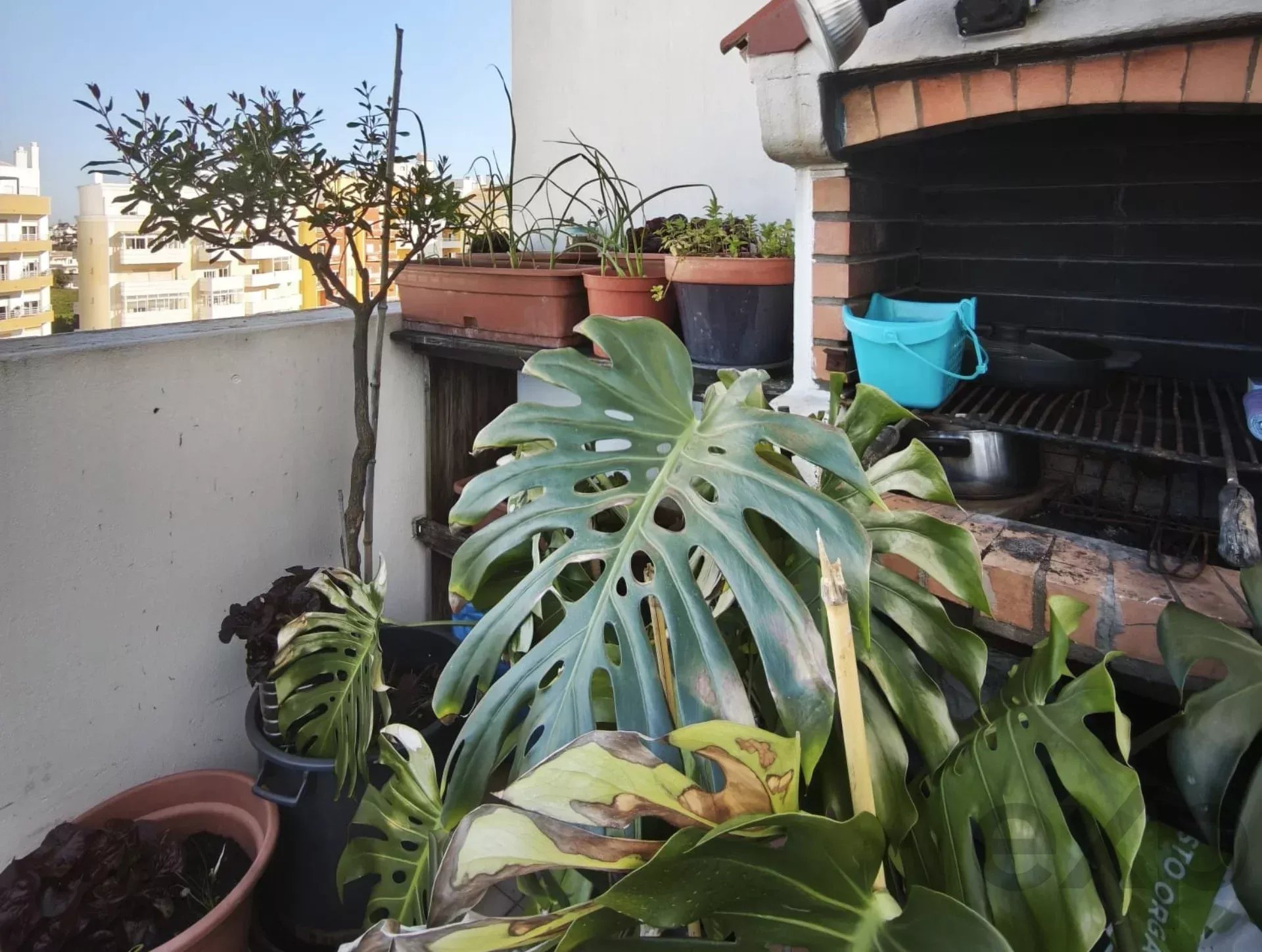 Converted T2 last floor apartment – Alvor, Portimão 8500-451 image 24