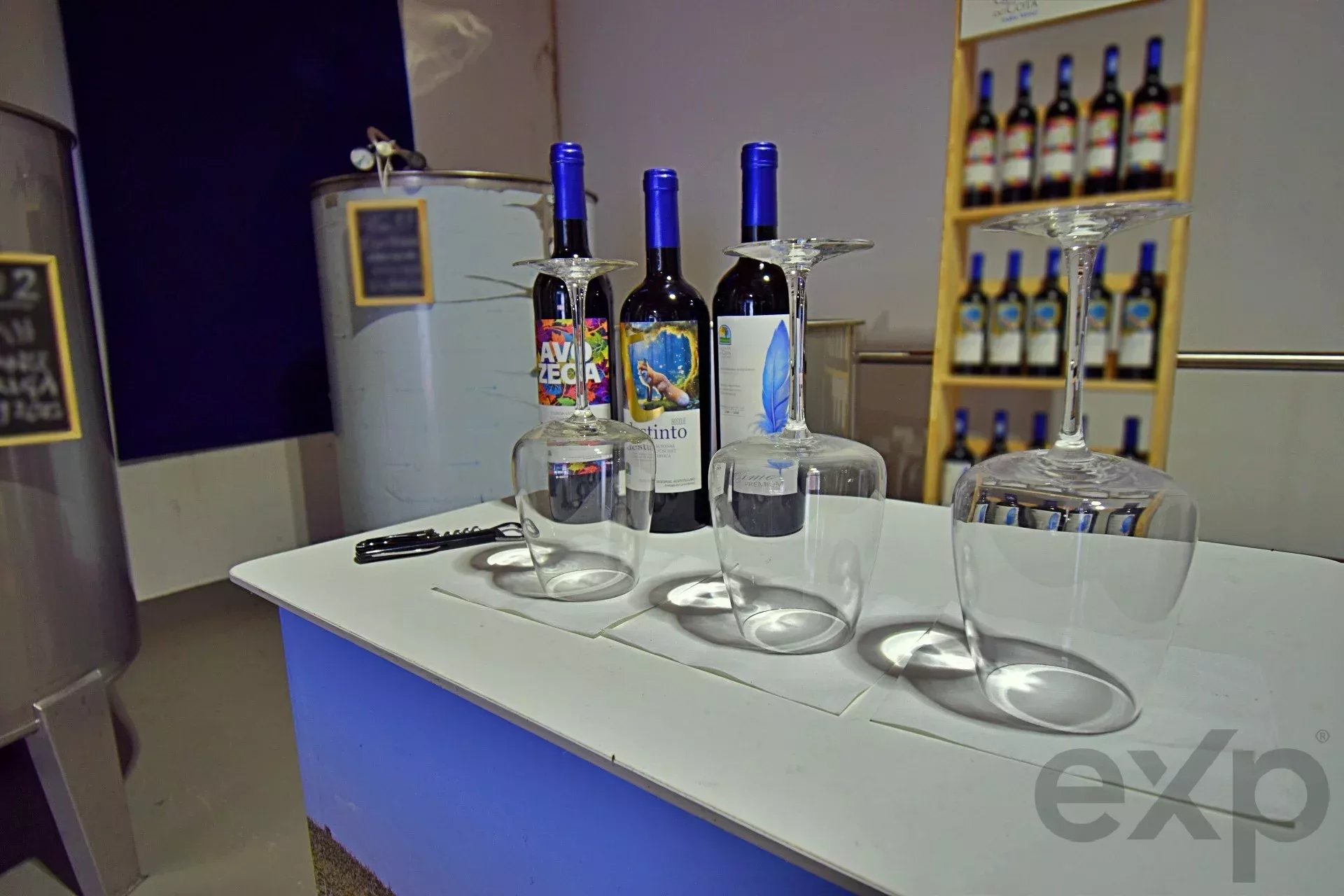 Prestigious Wine Estate – DOC Alentejo Wine Production 7050-000 image 11