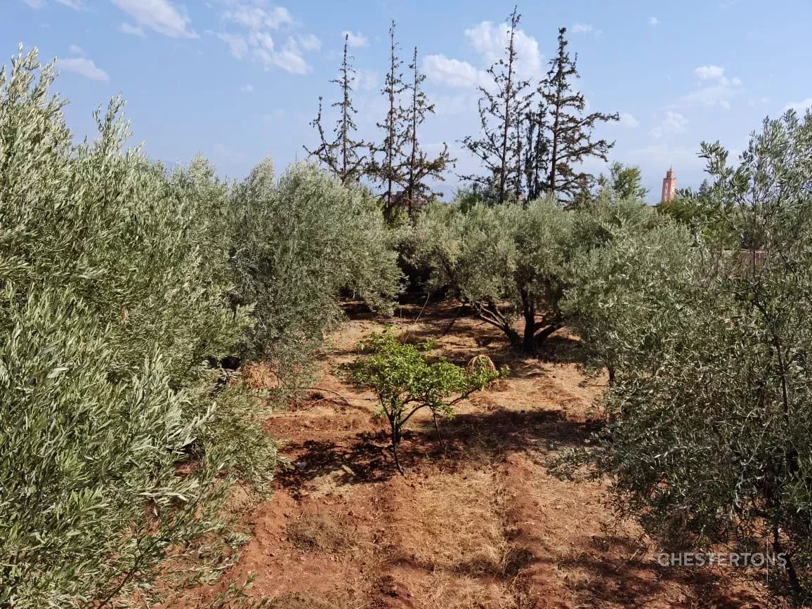 Image of Plot of land for Sale in Marrakech-Ménara-Marrakech-Morocco, Image 3