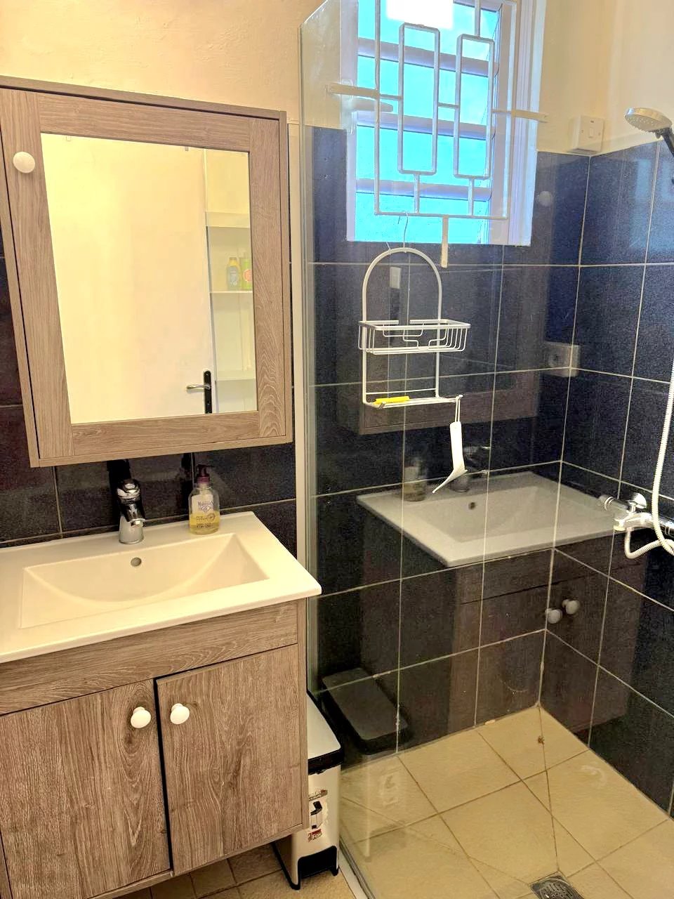 Ev Grand Baie - picture 7