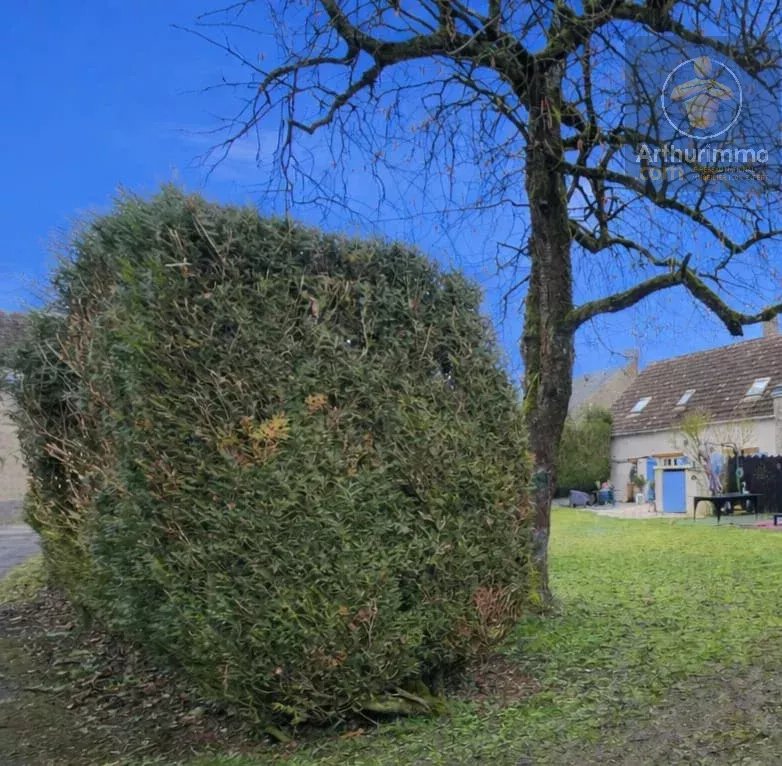 Maison charmante  avec beau jardin — photo 18