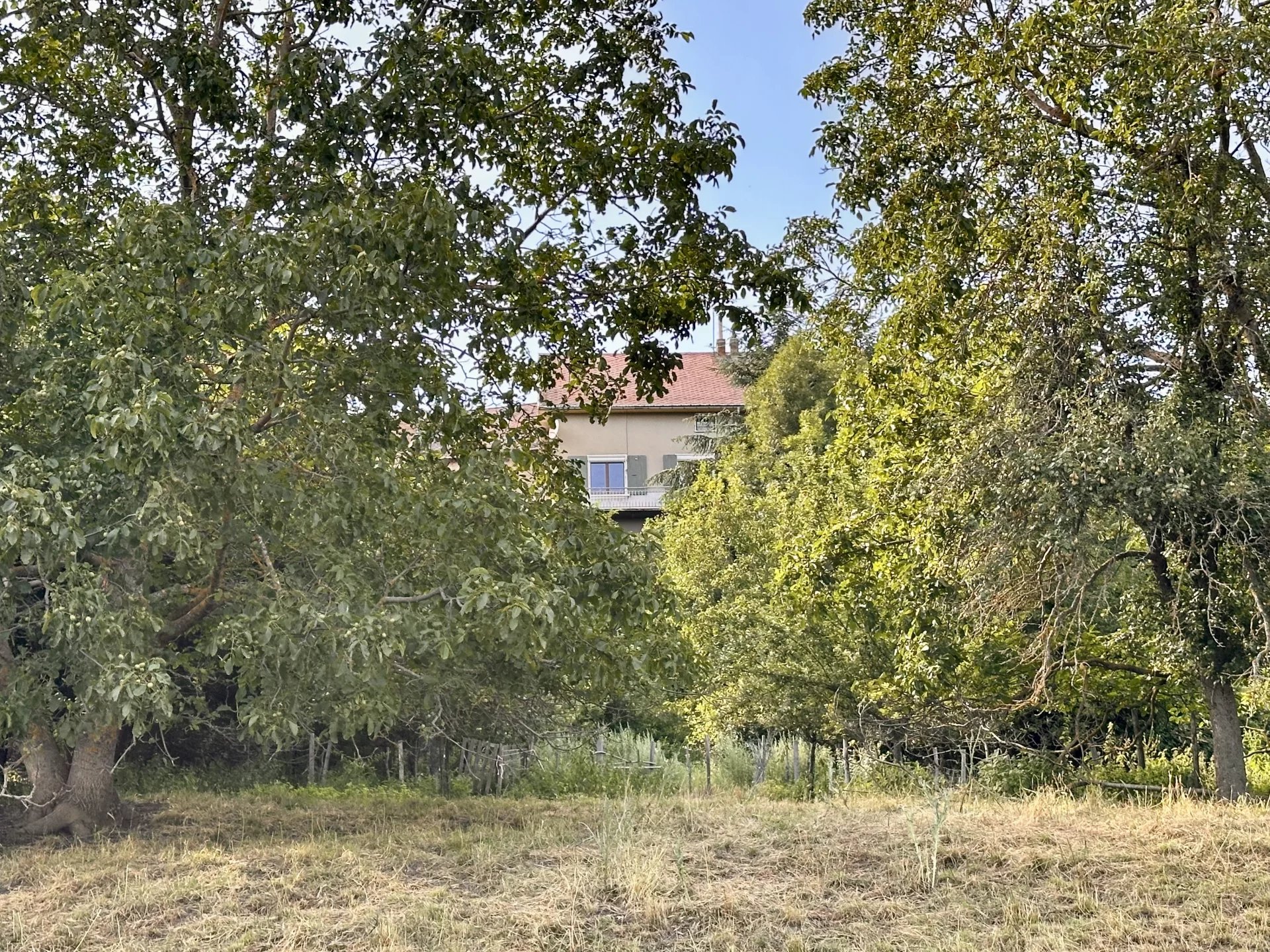 La maison vue du vaste terrain