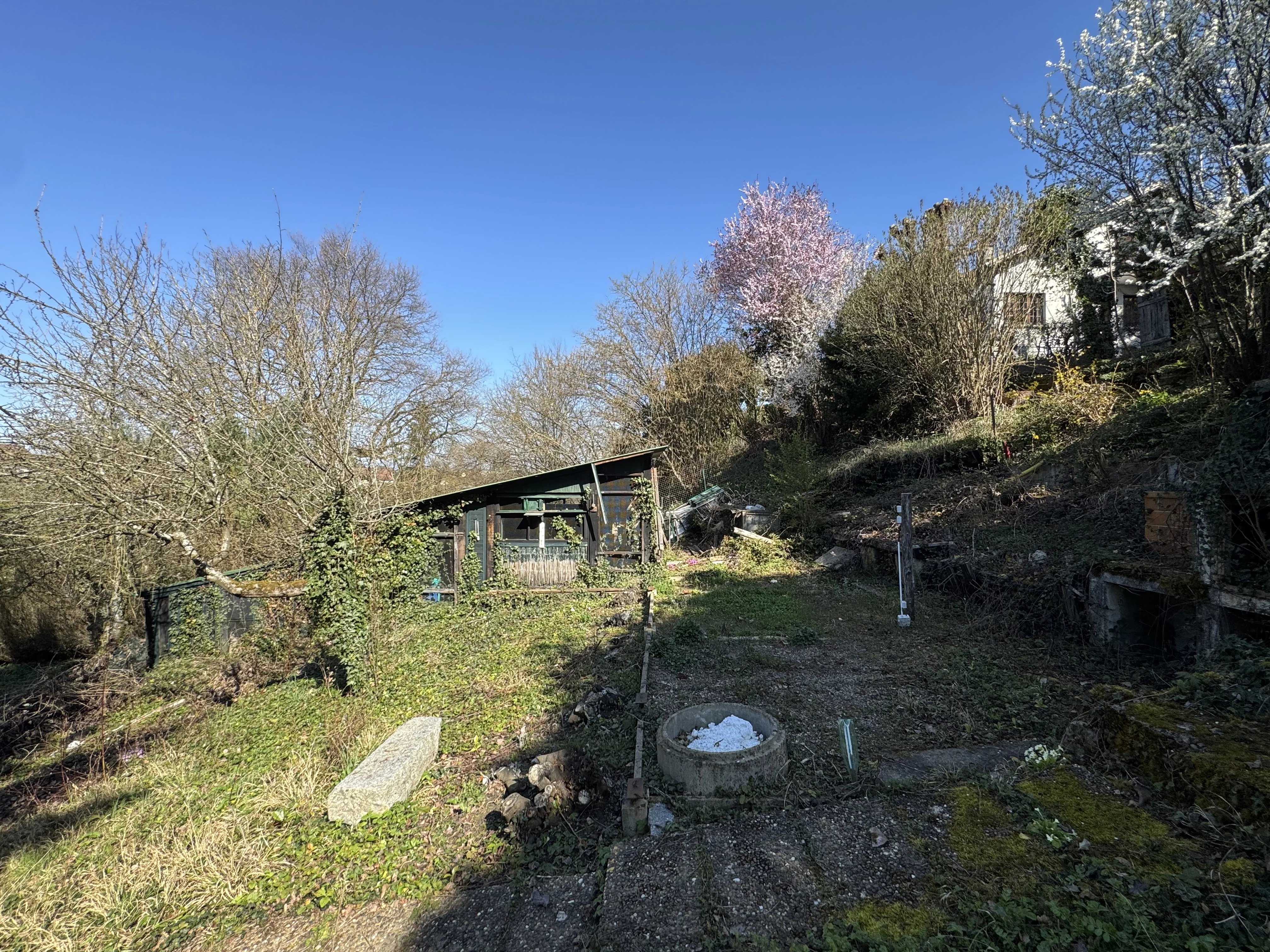 ALTKIRCH – TERRAIN À BÂTIR DE 8,56 ARES — photo 5