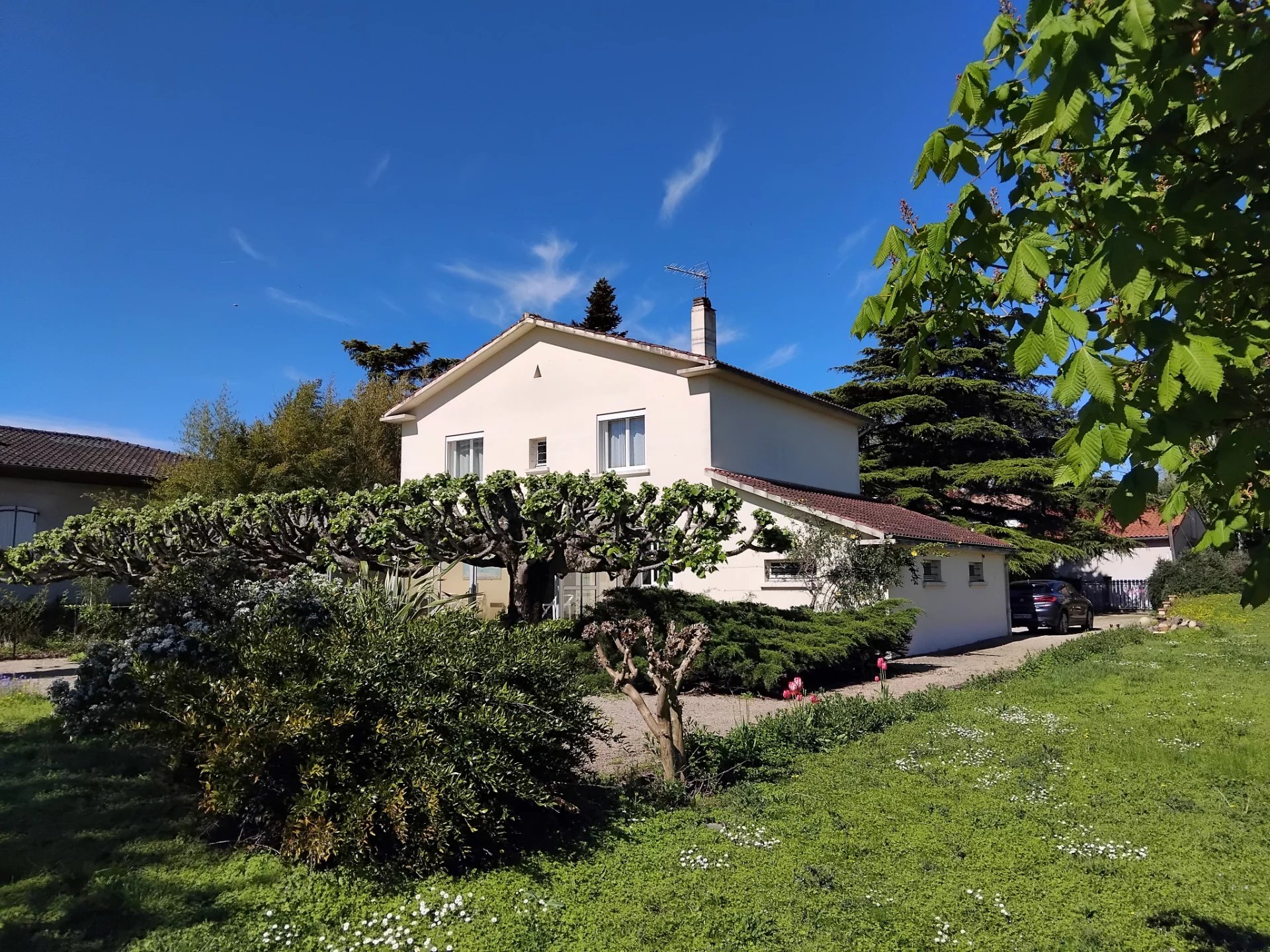 Maison de ville indépendante