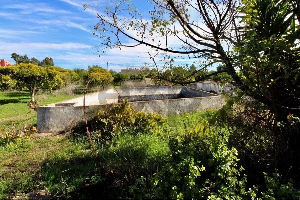 Charming Countryside Gem Near Fuseta 85948757 image 29