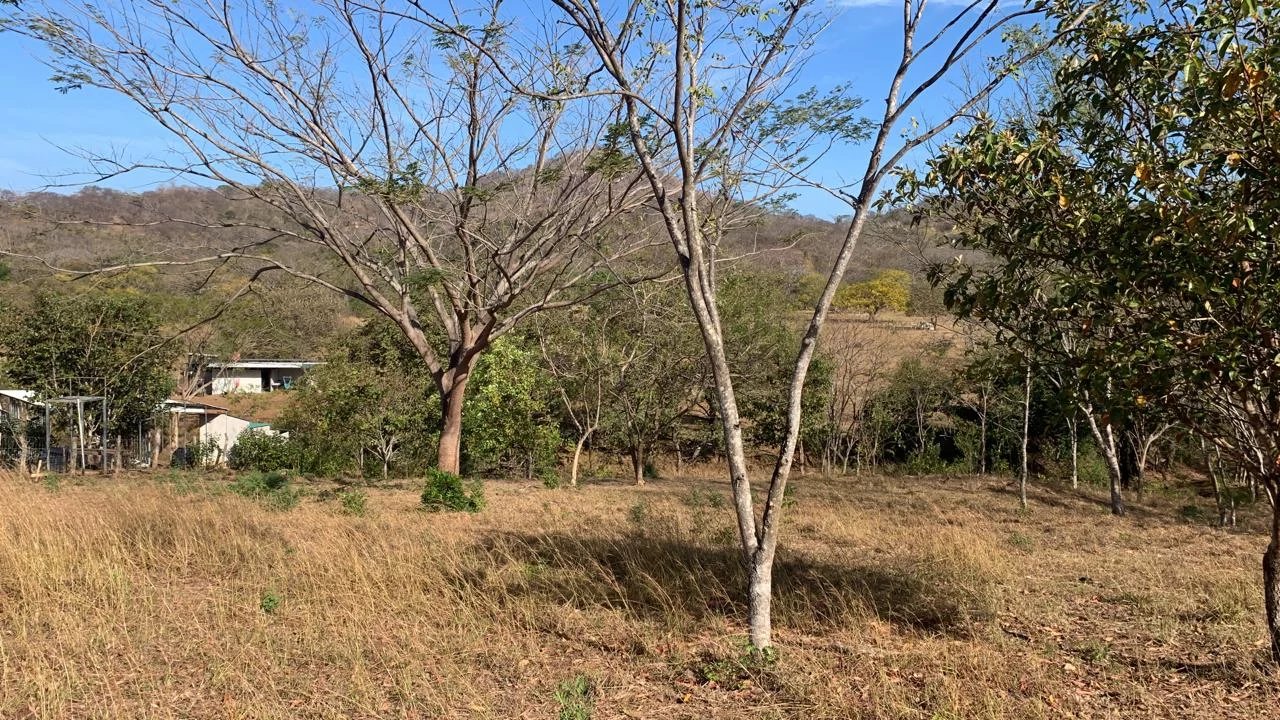 1000 m2 of land located in Santa Rosa, just 15 minutes from Tamarindo